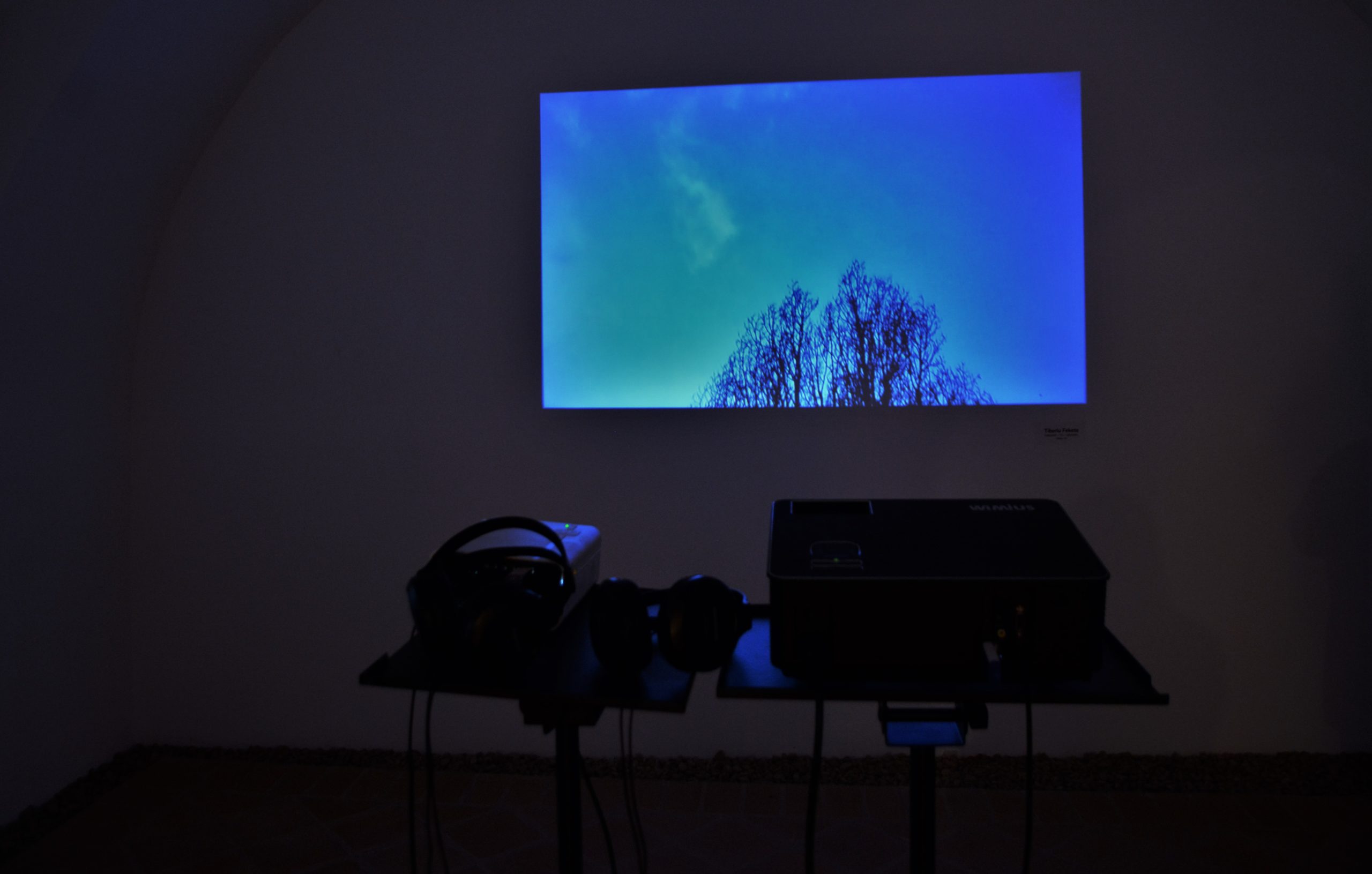 Expoziţia „Art-Eco”oradea (40)