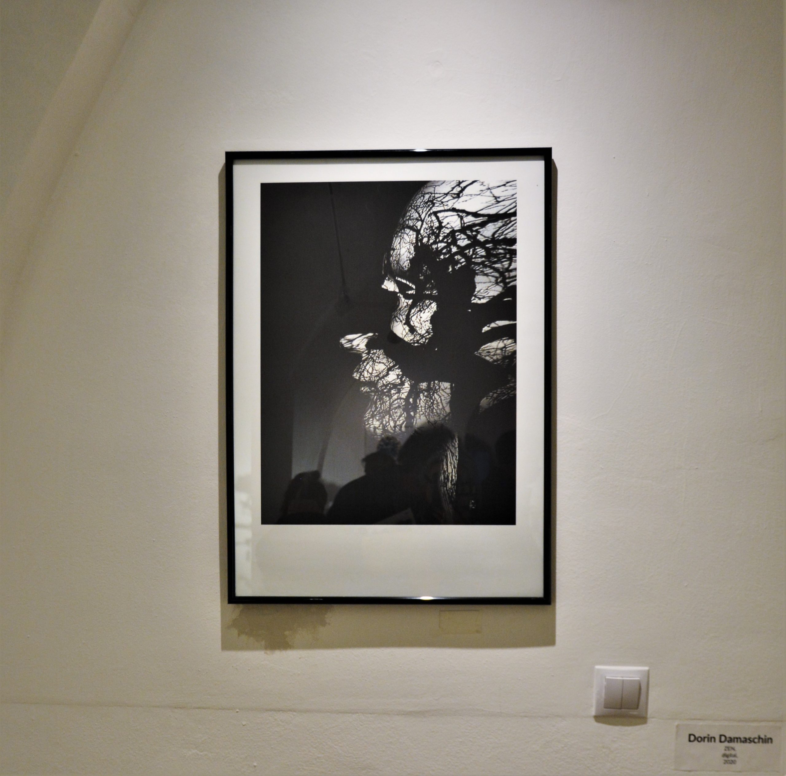 Expoziţia „Art-Eco”oradea (46)