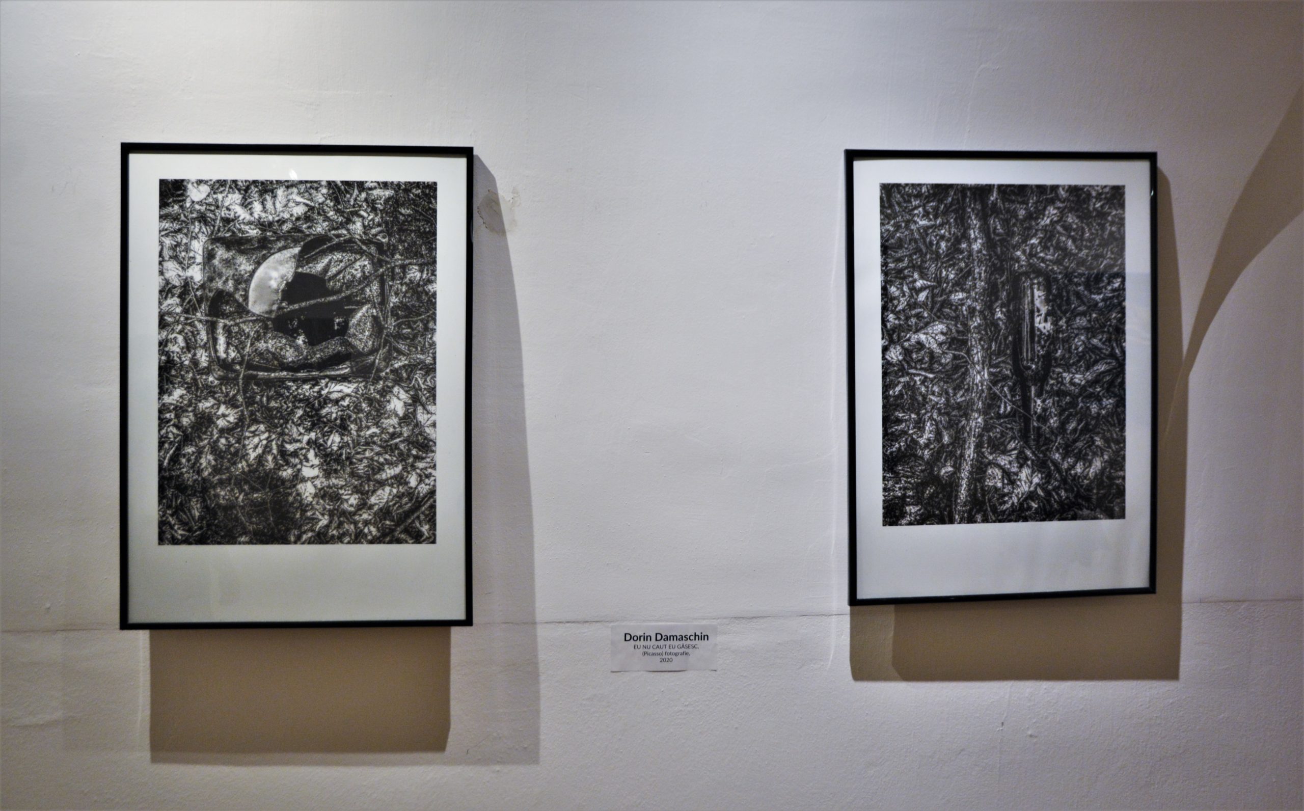 Expoziţia „Art-Eco”oradea (5)