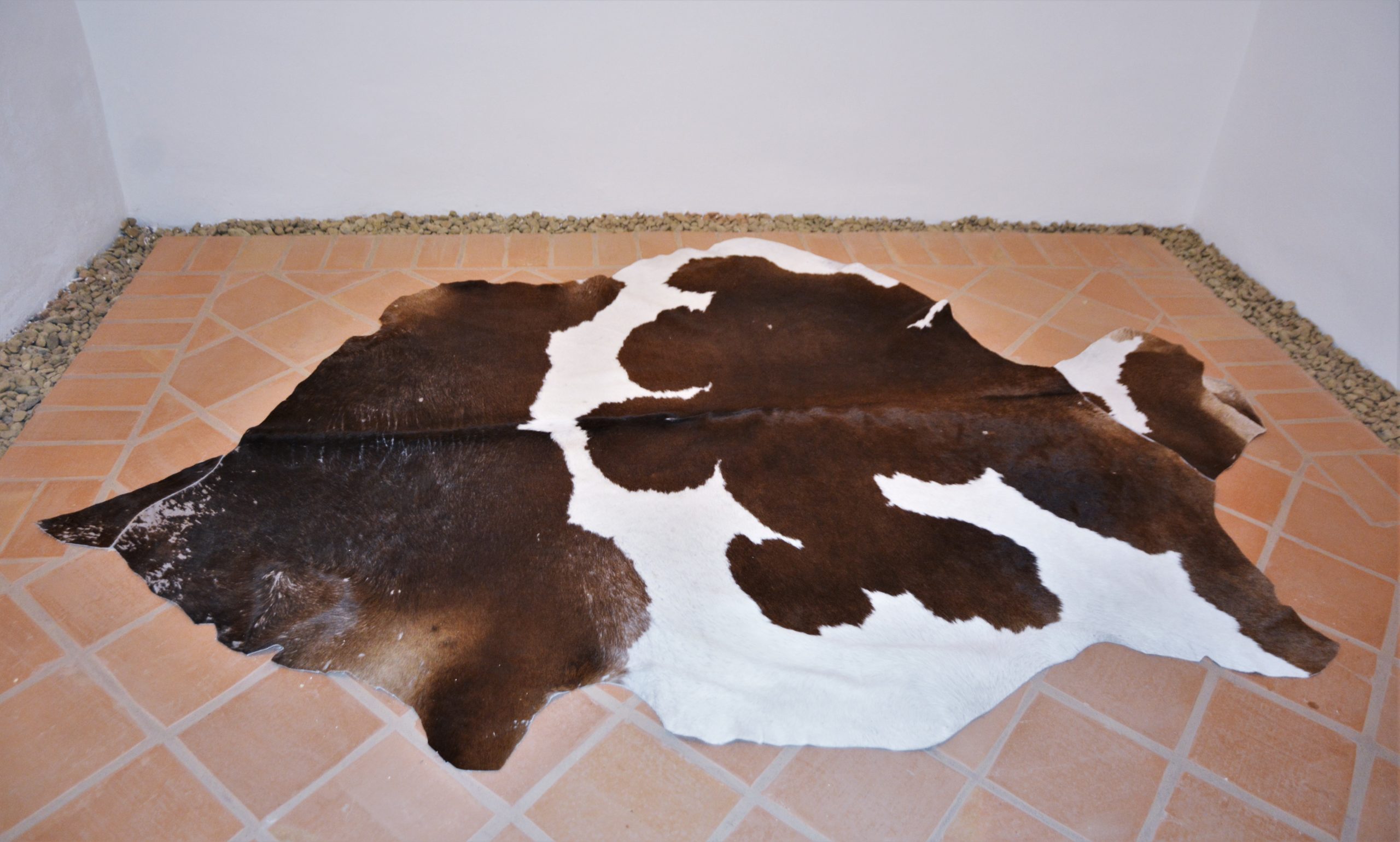 Expoziţia „Art-Eco”oradea (51)