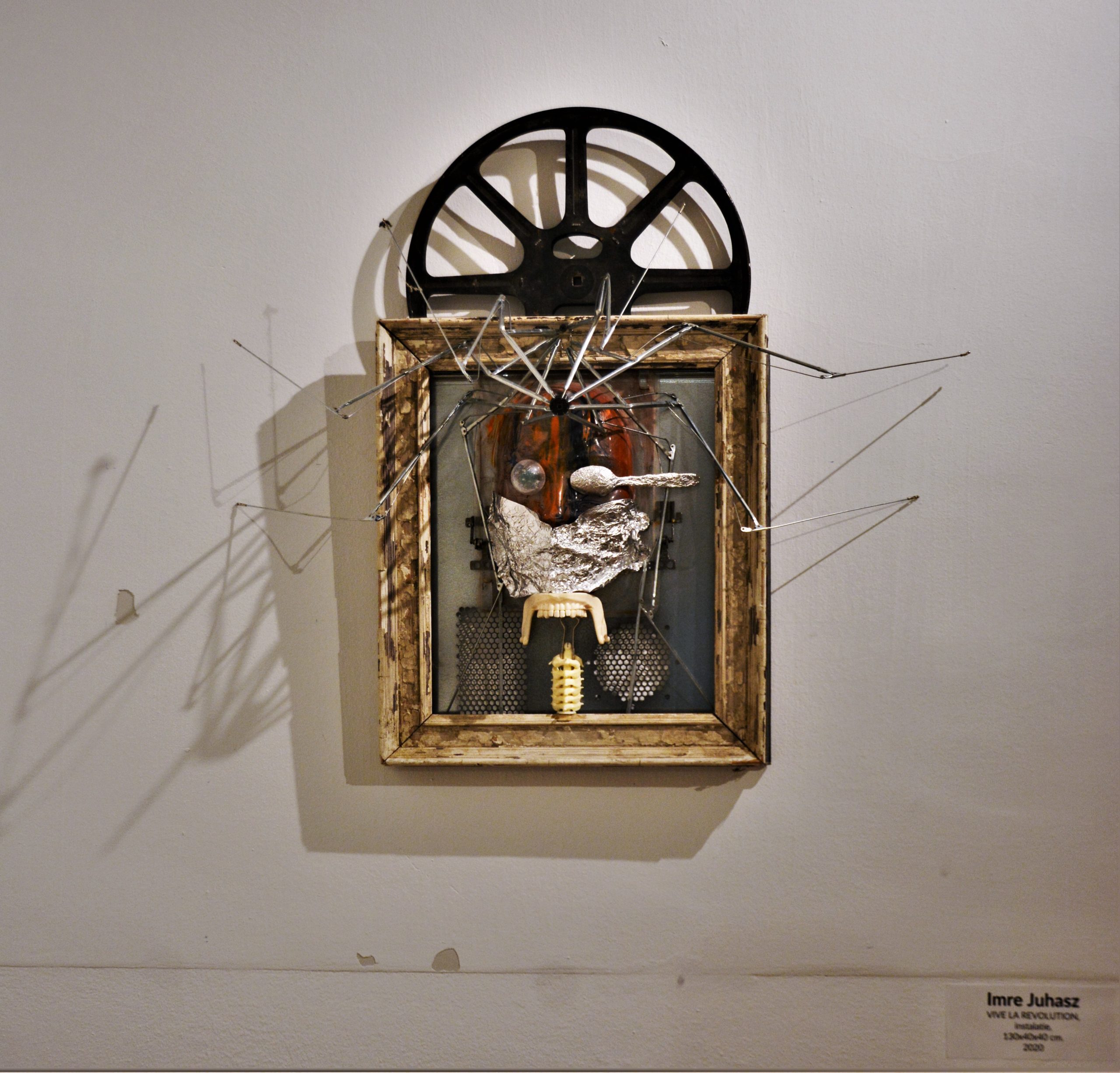 Expoziţia „Art-Eco”oradea (52)