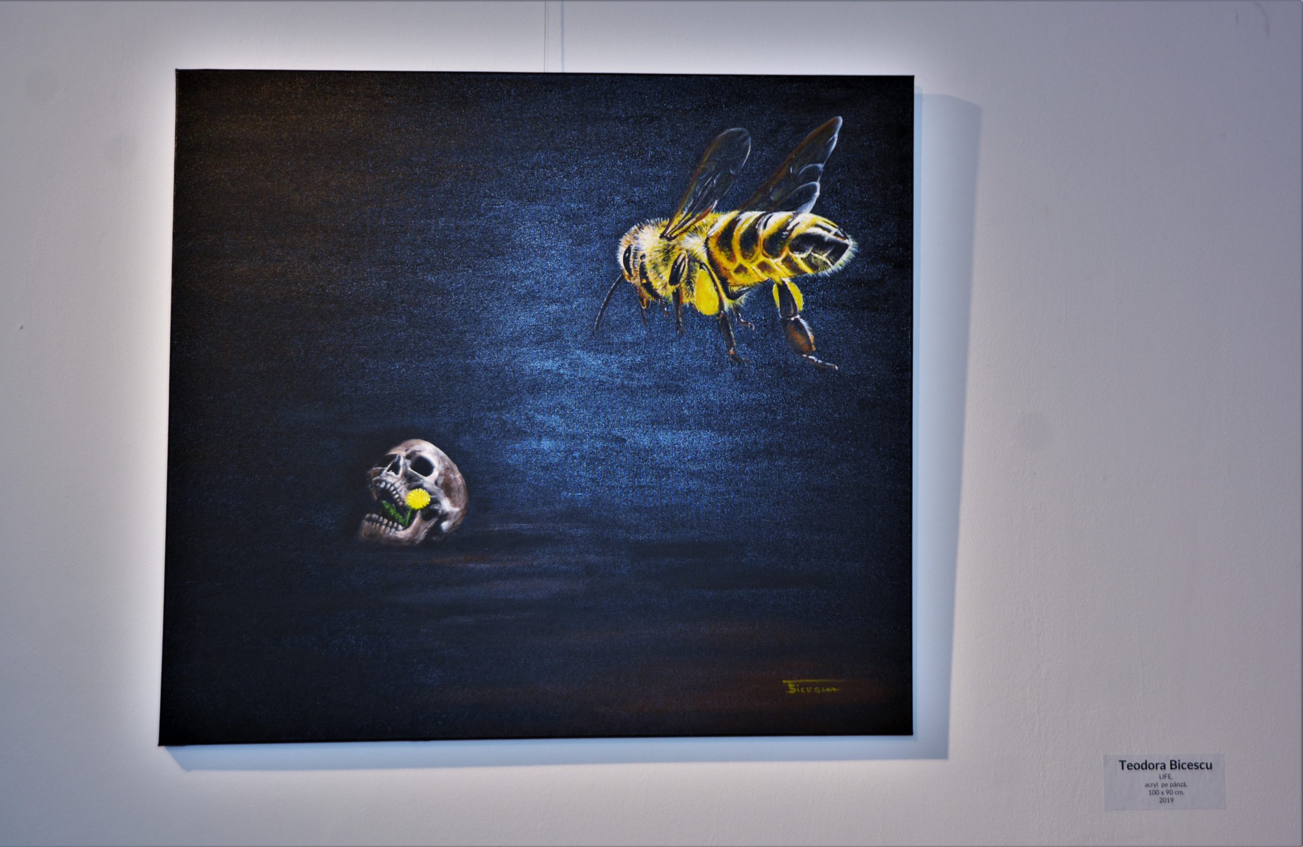 Expoziţia „Art-Eco”oradea (54)