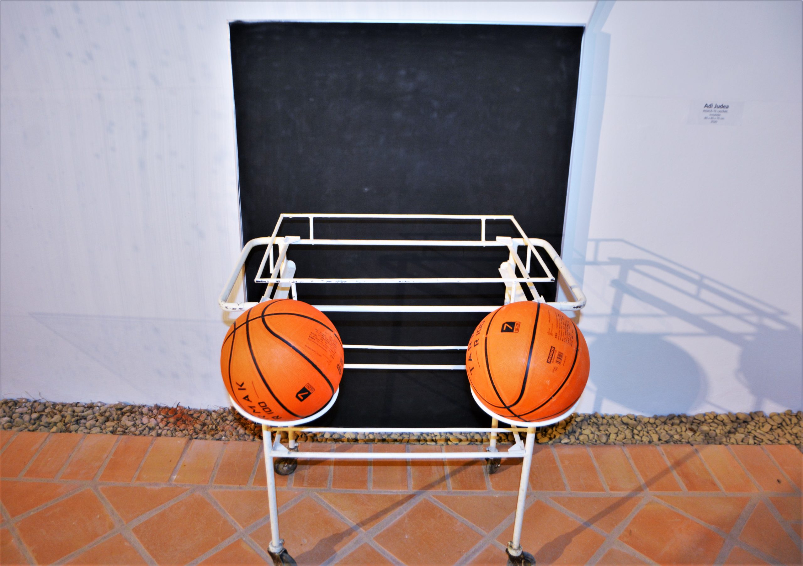 Expoziţia „Art-Eco”oradea (55)