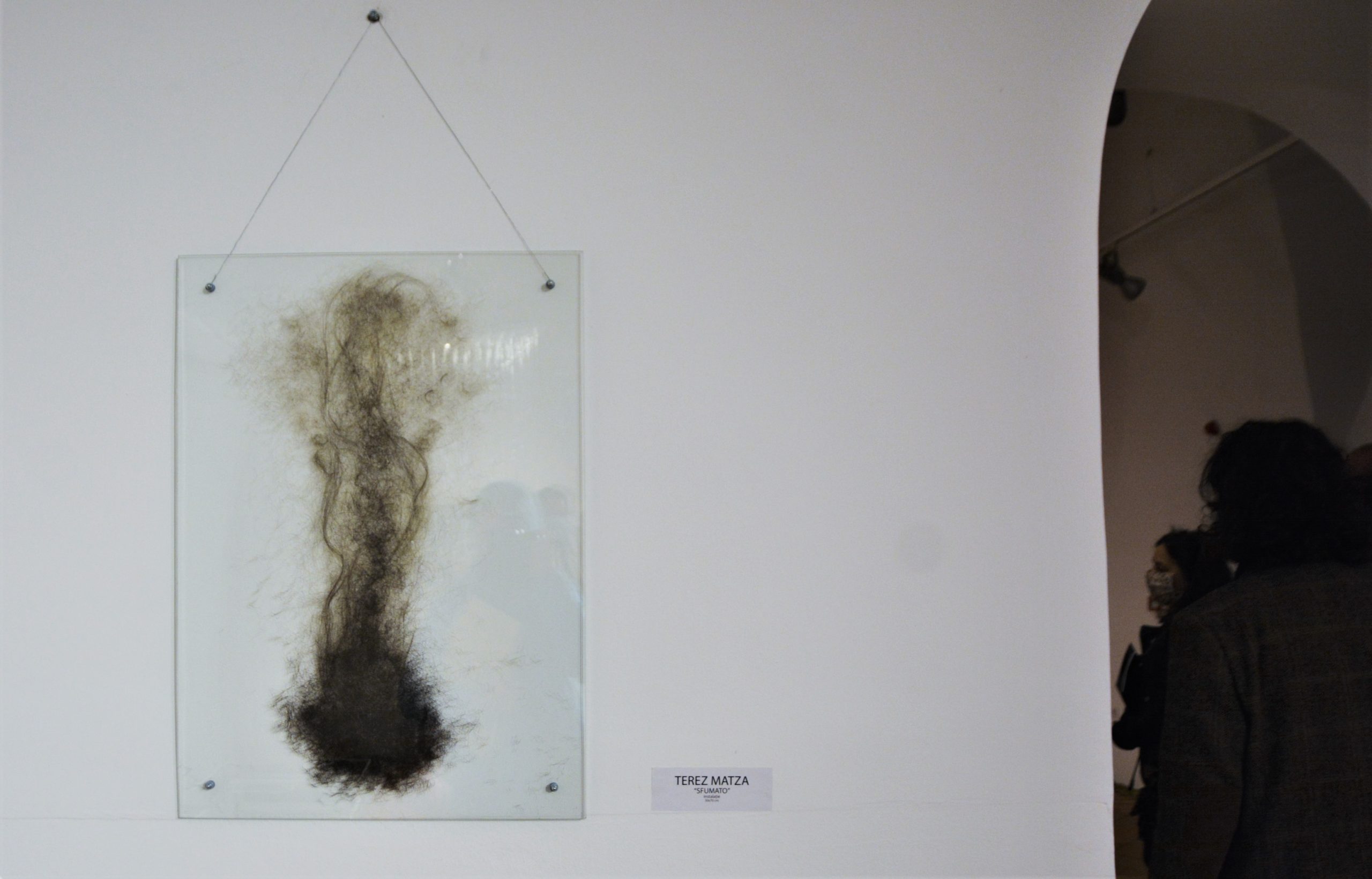 Expoziţia „Art-Eco”oradea (73)