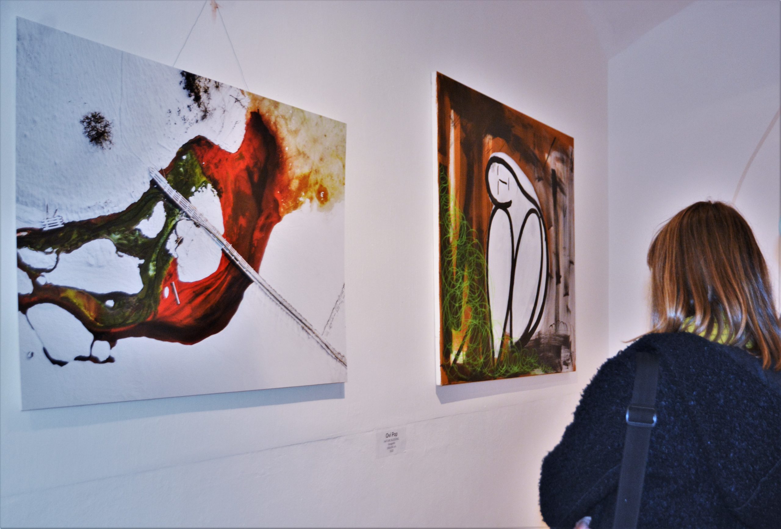 Expoziţia „Art-Eco”oradea (8)