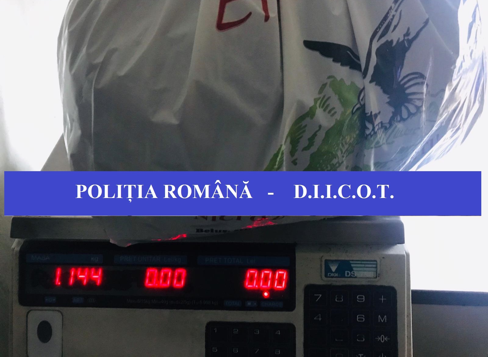 foto 1 BCCO Oradea cannabis