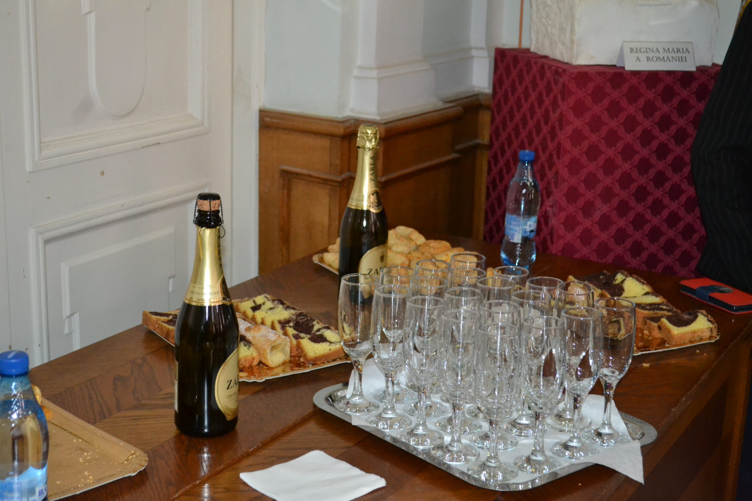 juramant florin birta primar oradea (108)