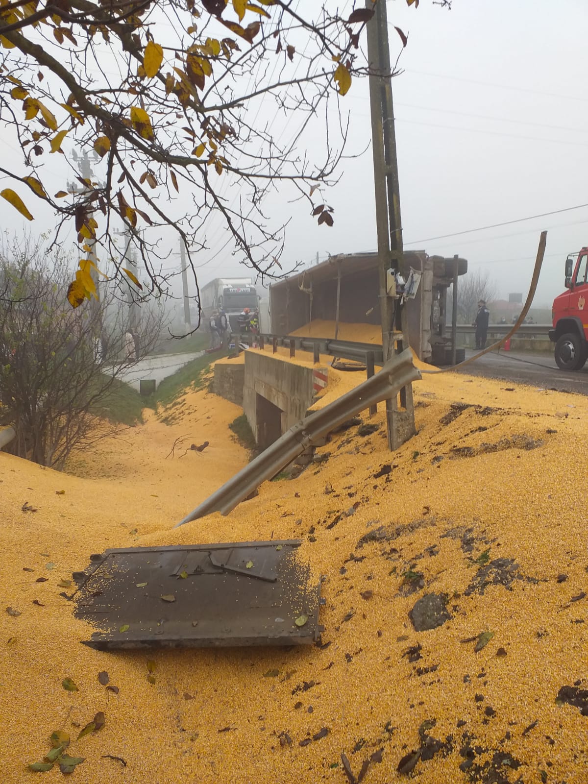 dfa712c0-45fb-413d-a899-5bbc6999ba79