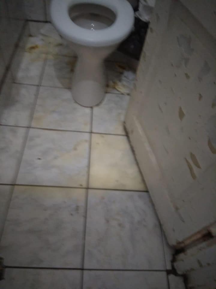 128595497_222107459479500_6363555910509998779_n