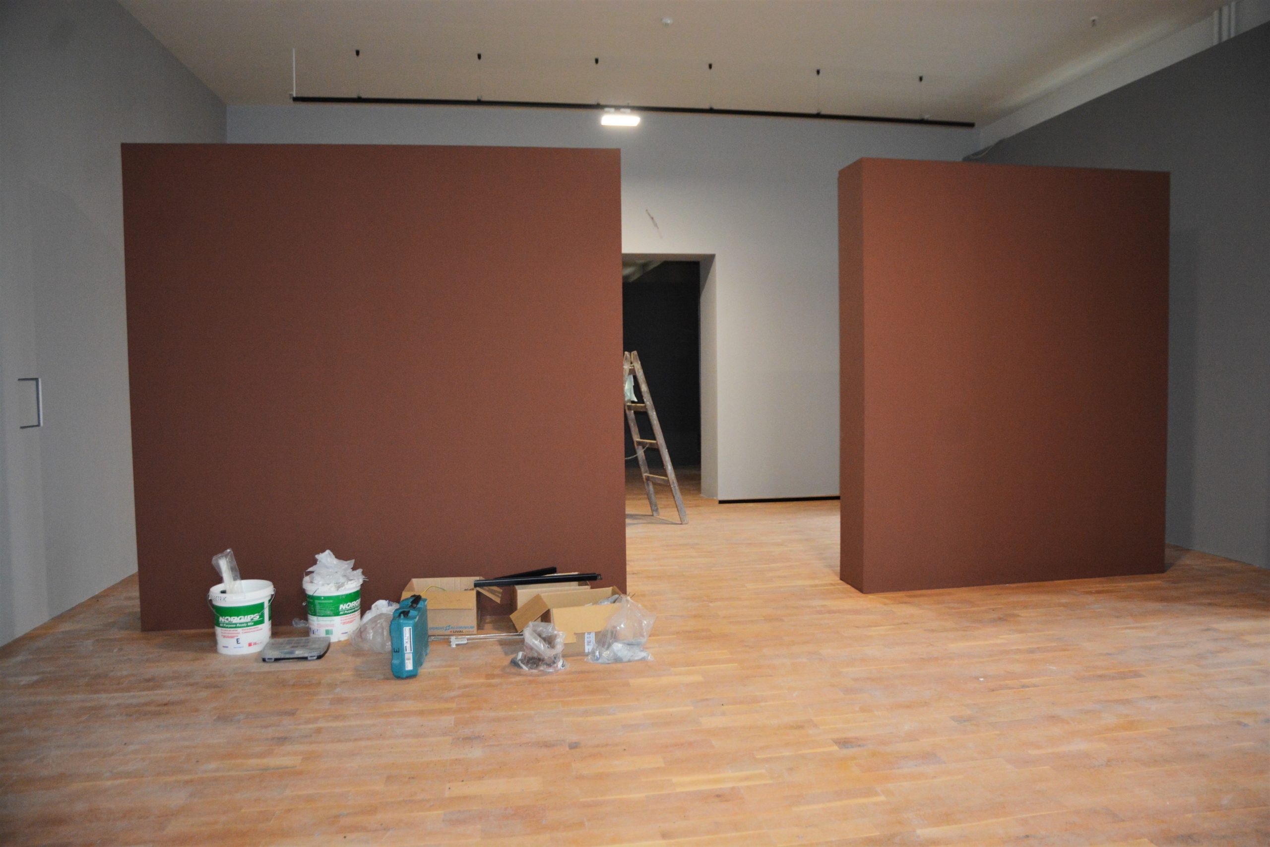 muzeul tarii crisurilor oradea (17)