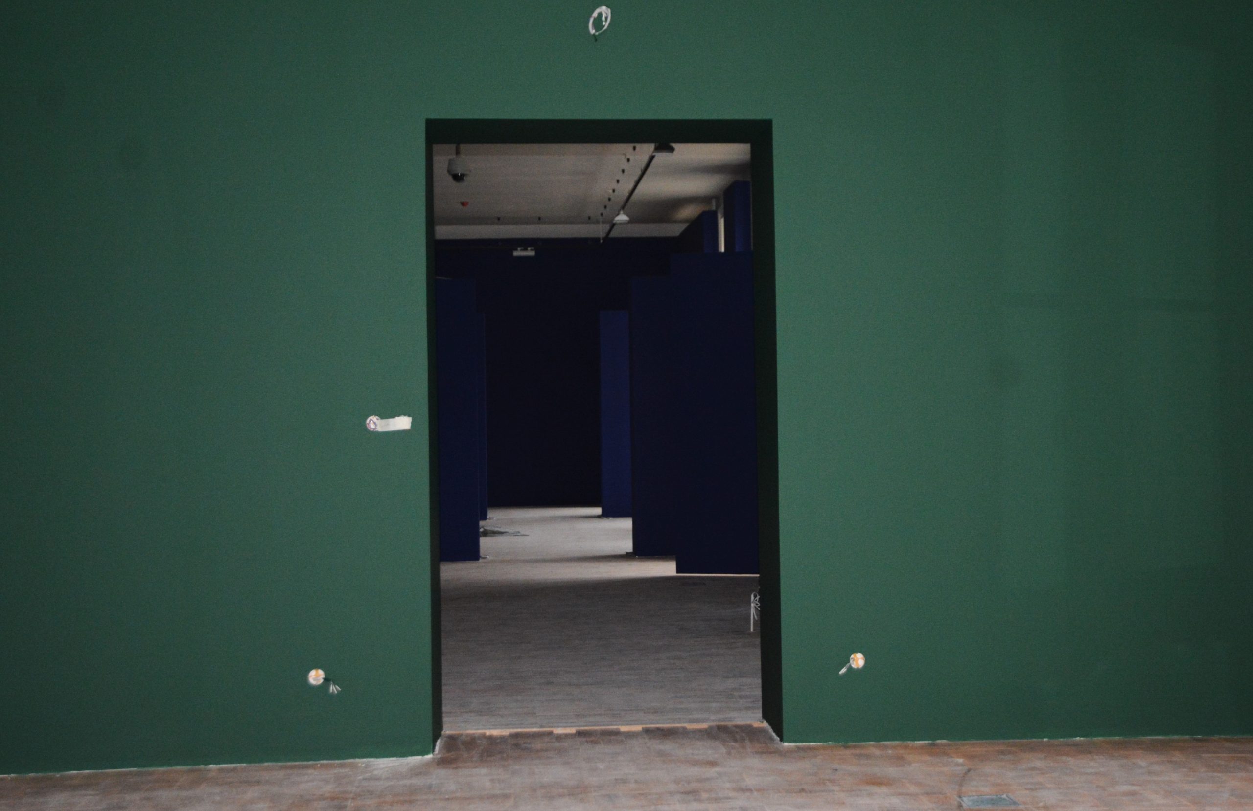 muzeul tarii crisurilor oradea (18)