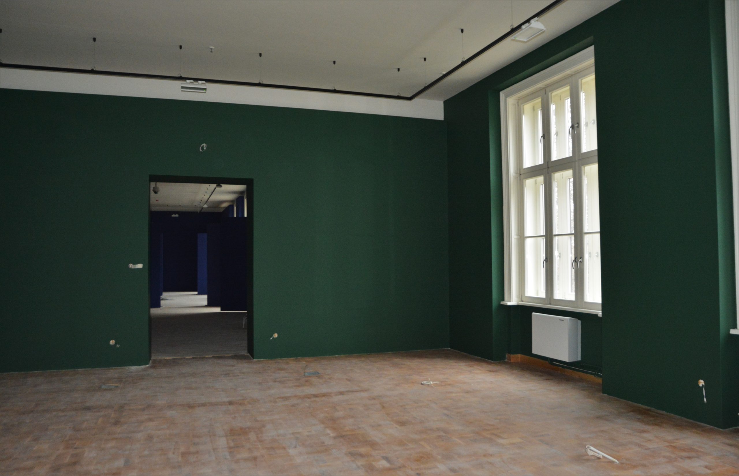 muzeul tarii crisurilor oradea (19)