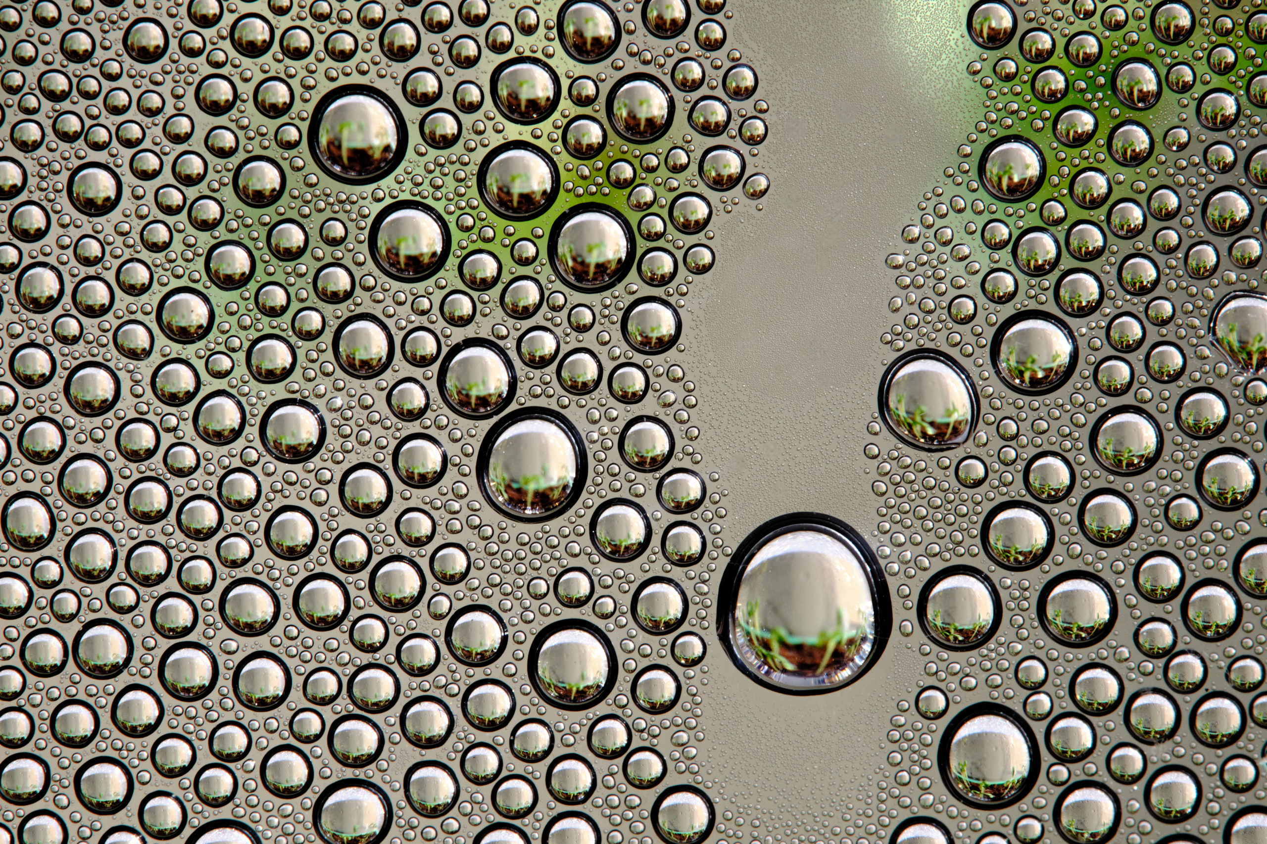 Bodea Marius -The perfect drop