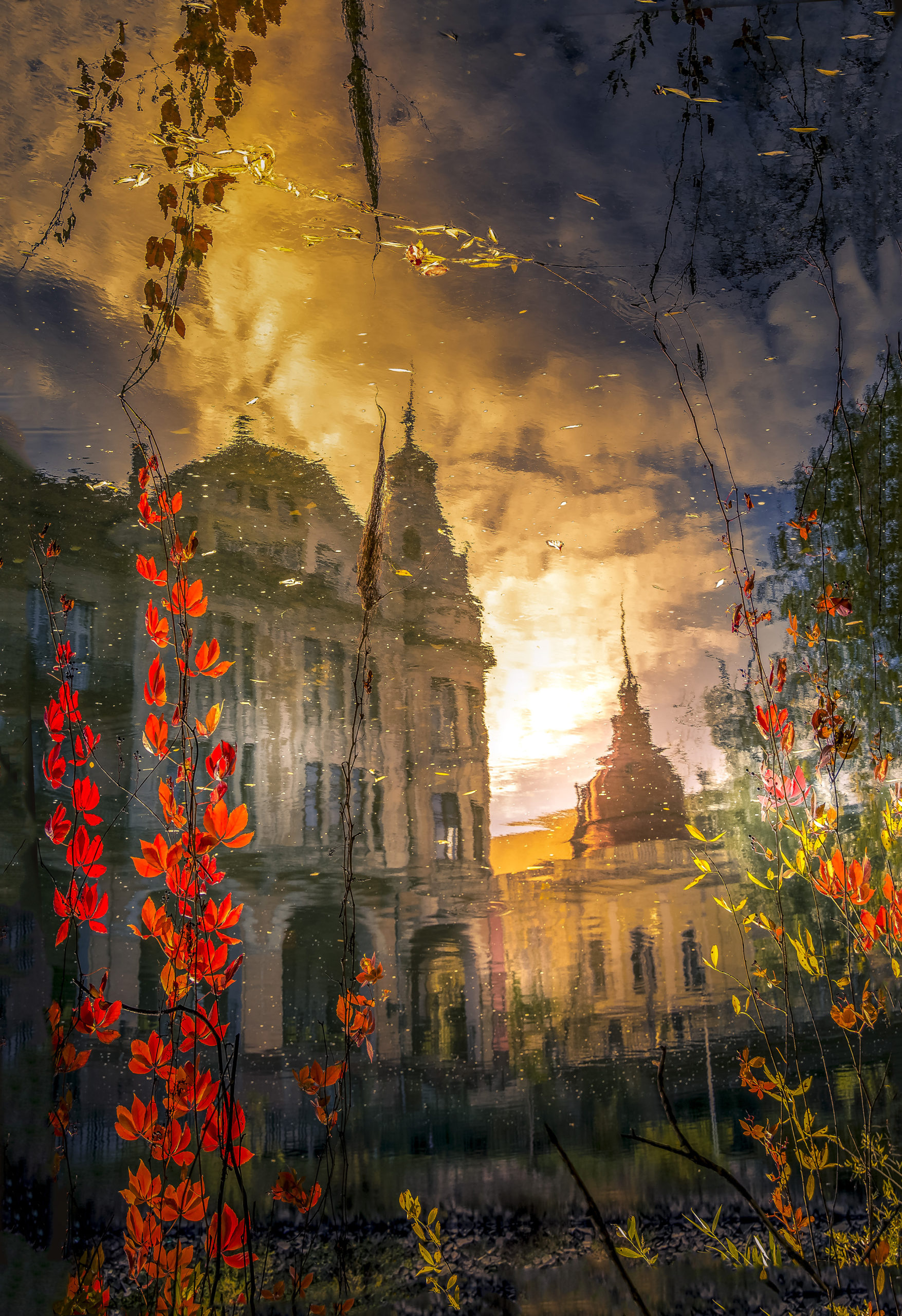 Lazar Constantin- Autumn dream