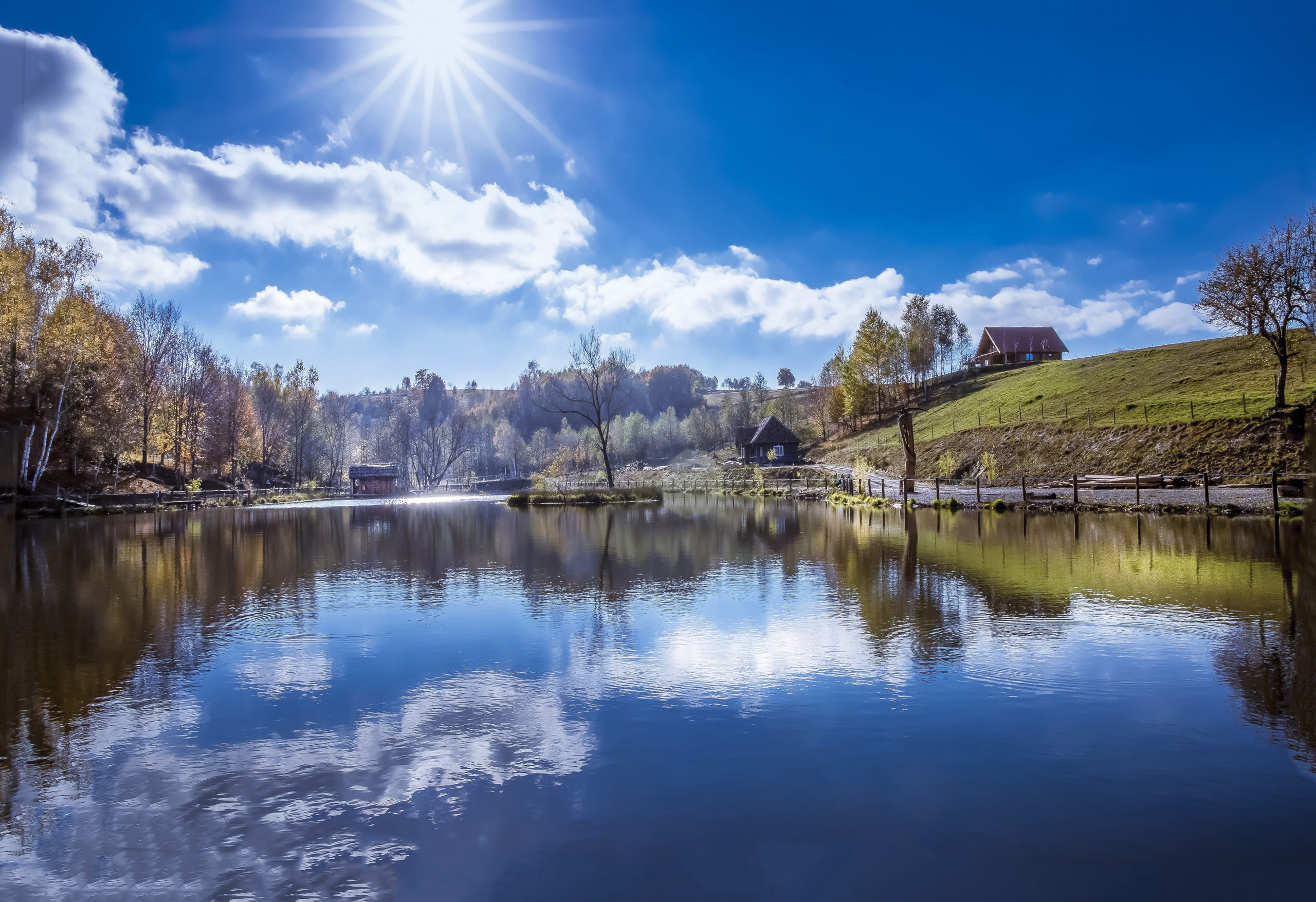 Lazar Constantin- Late autumn