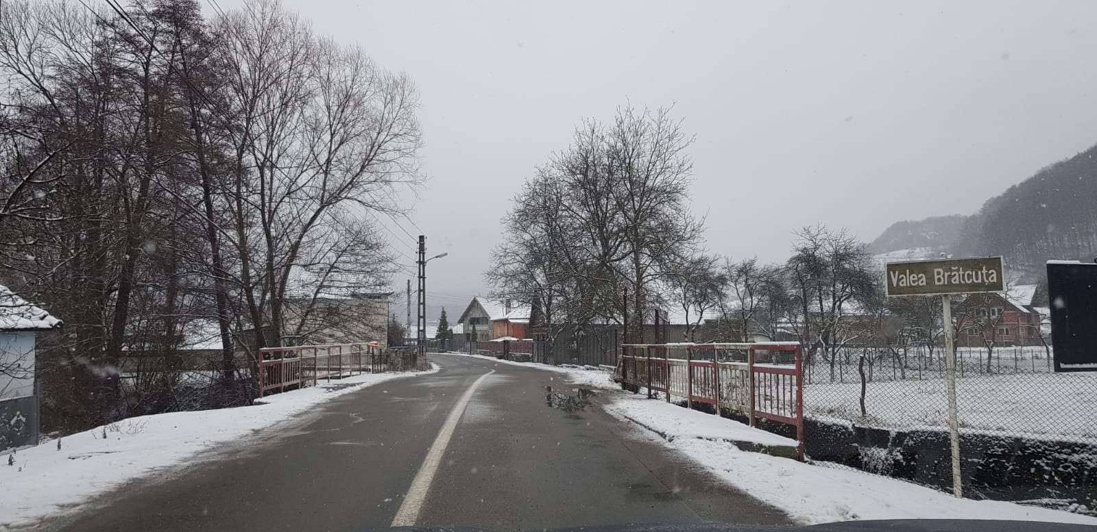 3Damis_Rosia_8_14K (5)