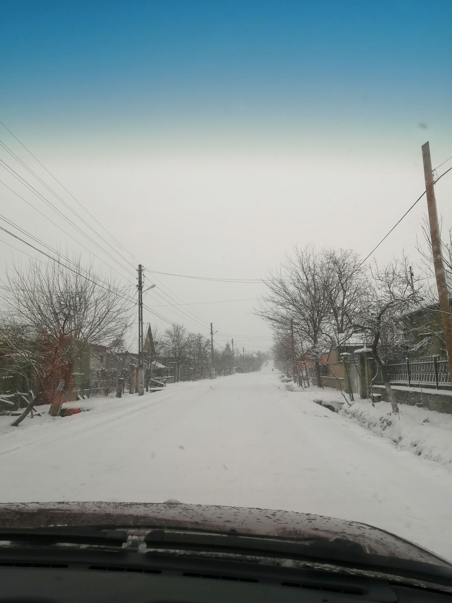 3ales tilecus varciorog 14 k