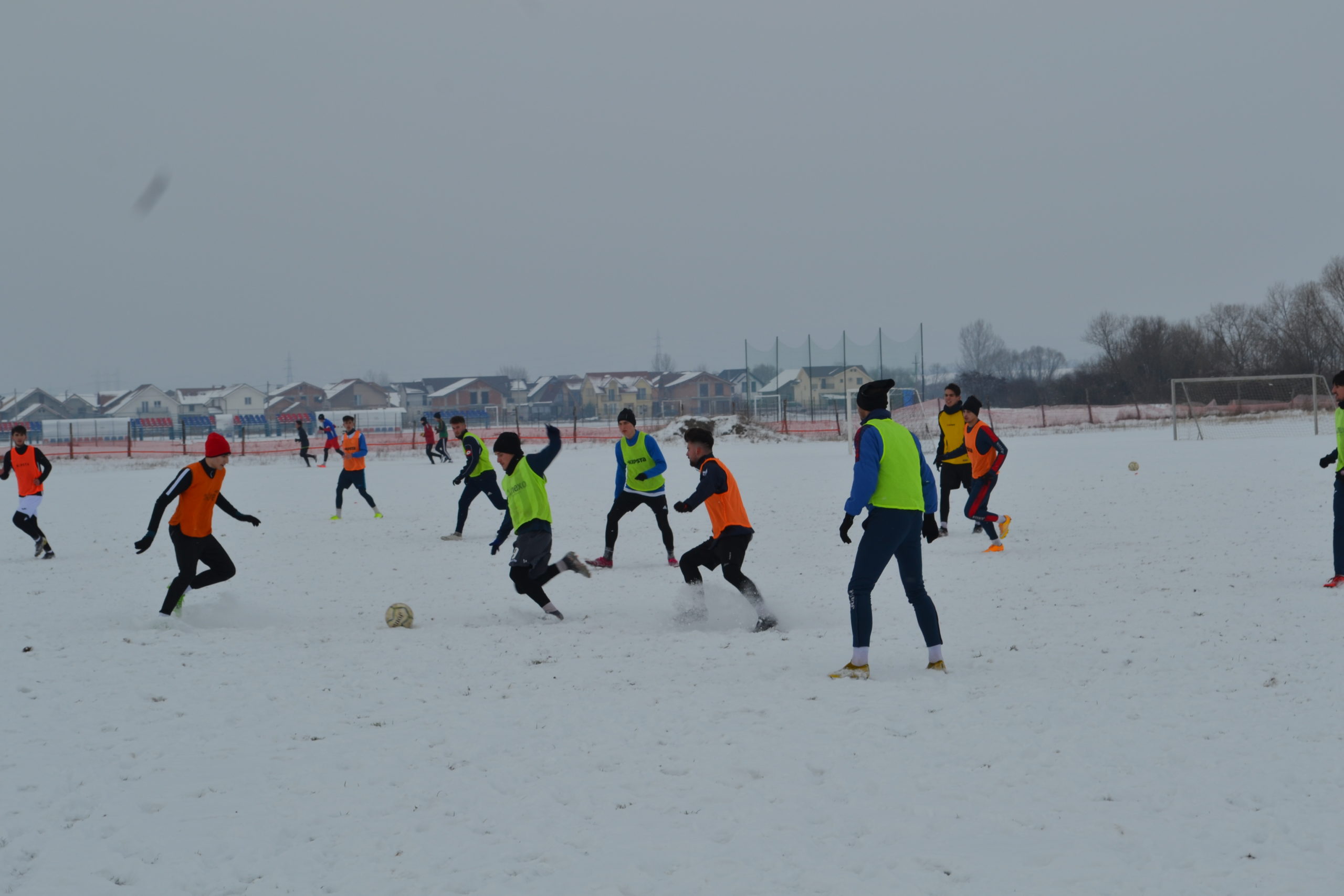 reunire luceafarul (1)