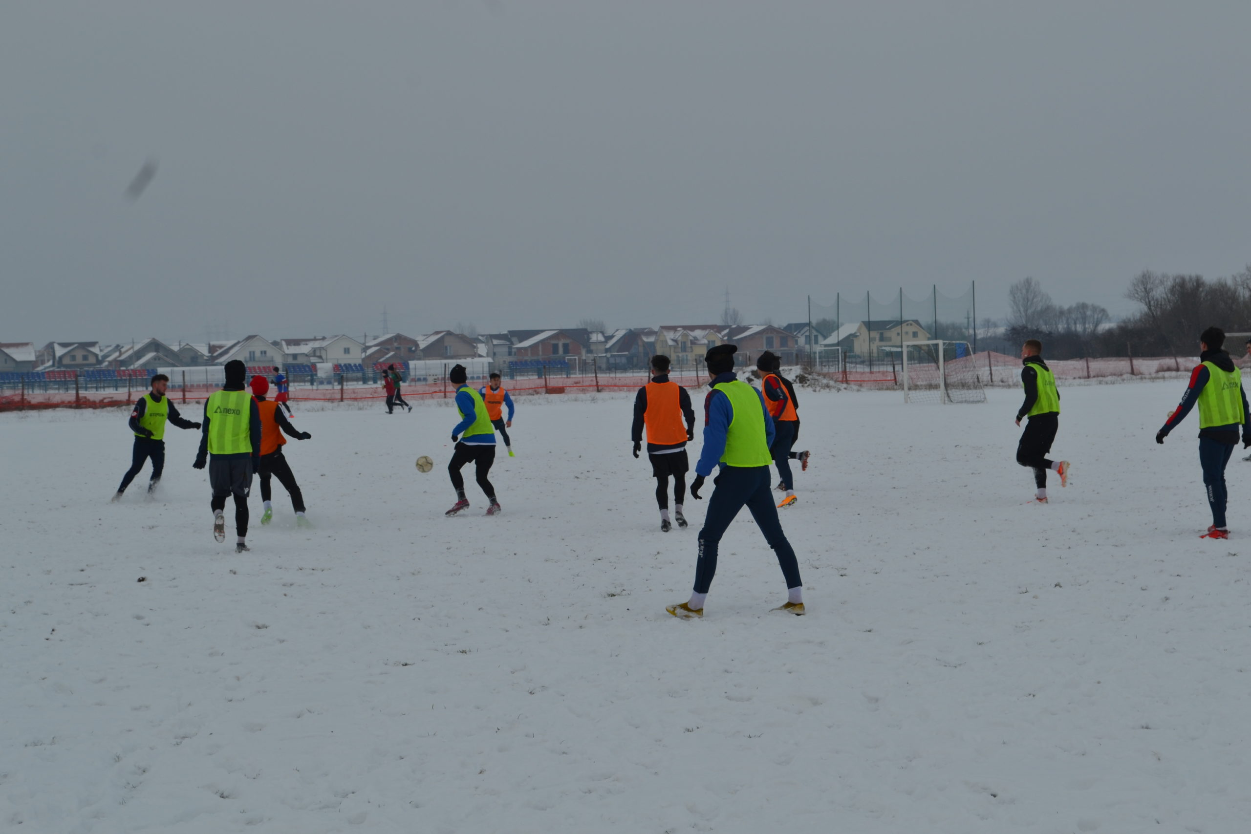 reunire luceafarul (2)