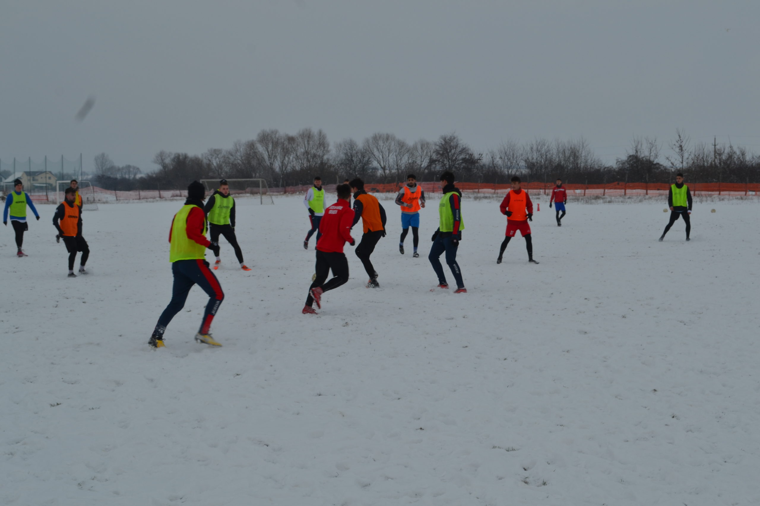 reunire luceafarul (4)