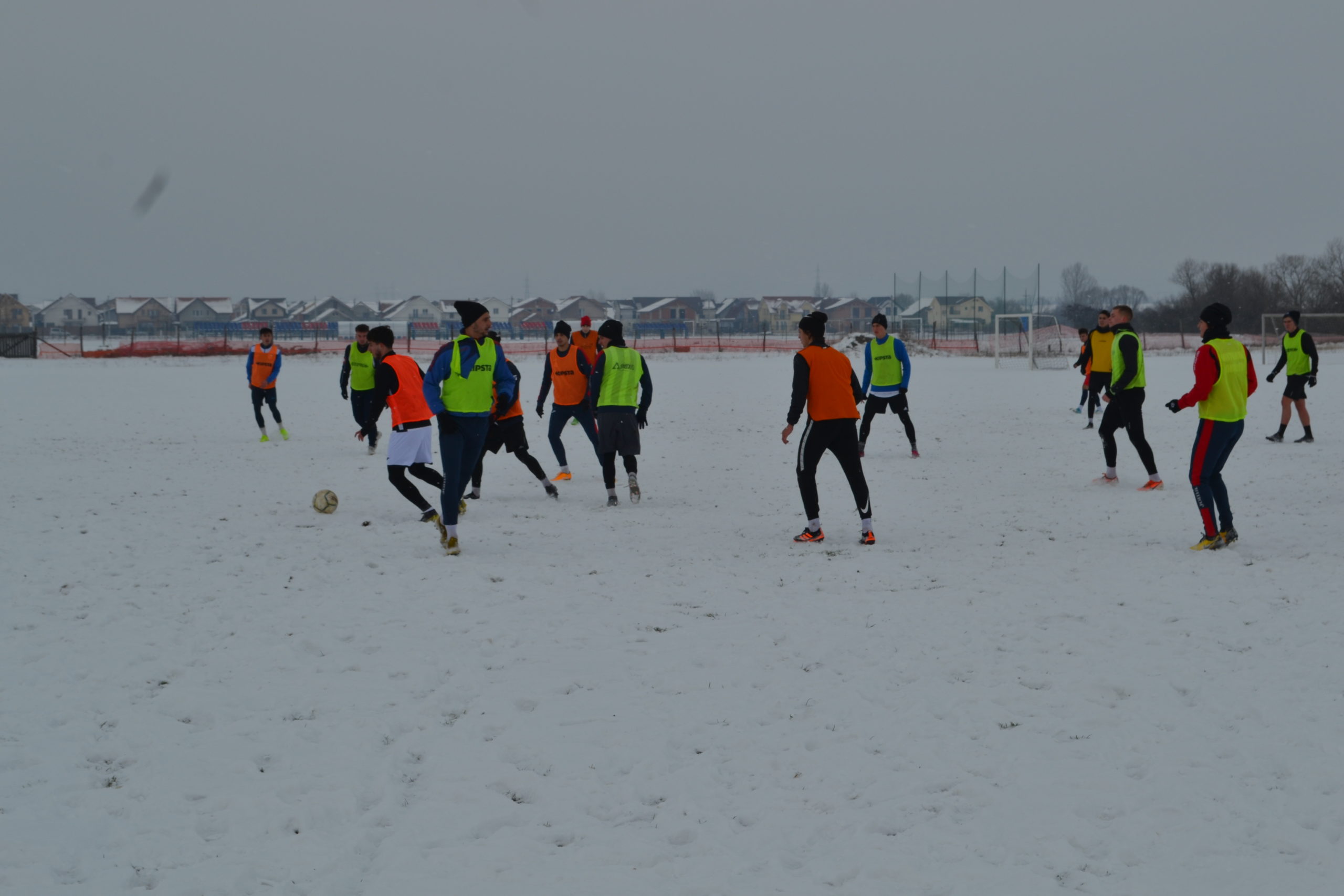 reunire luceafarul (5)