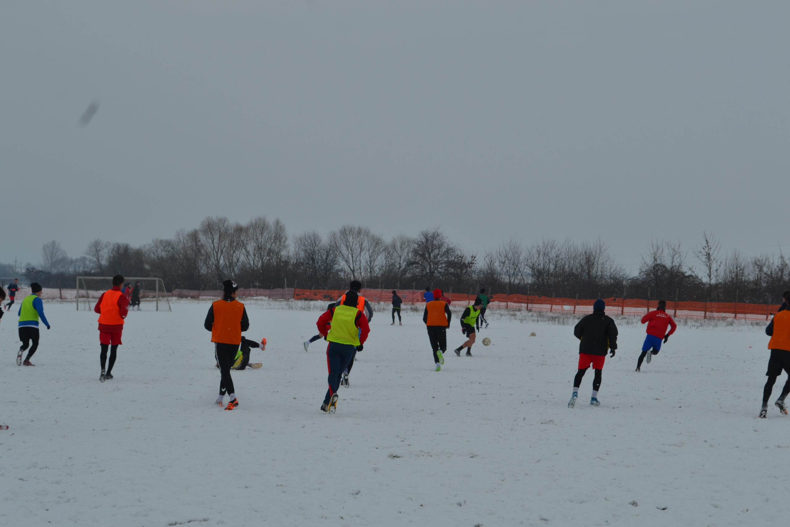 reunire luceafarul (6)