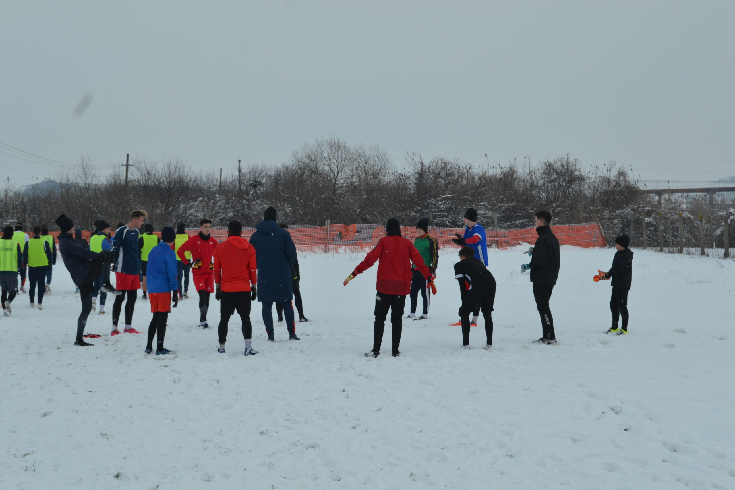 reunire luceafarul (7)