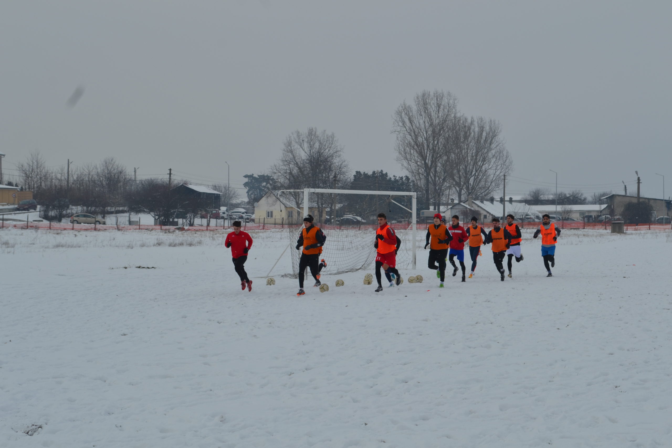 reunire luceafarul (8)