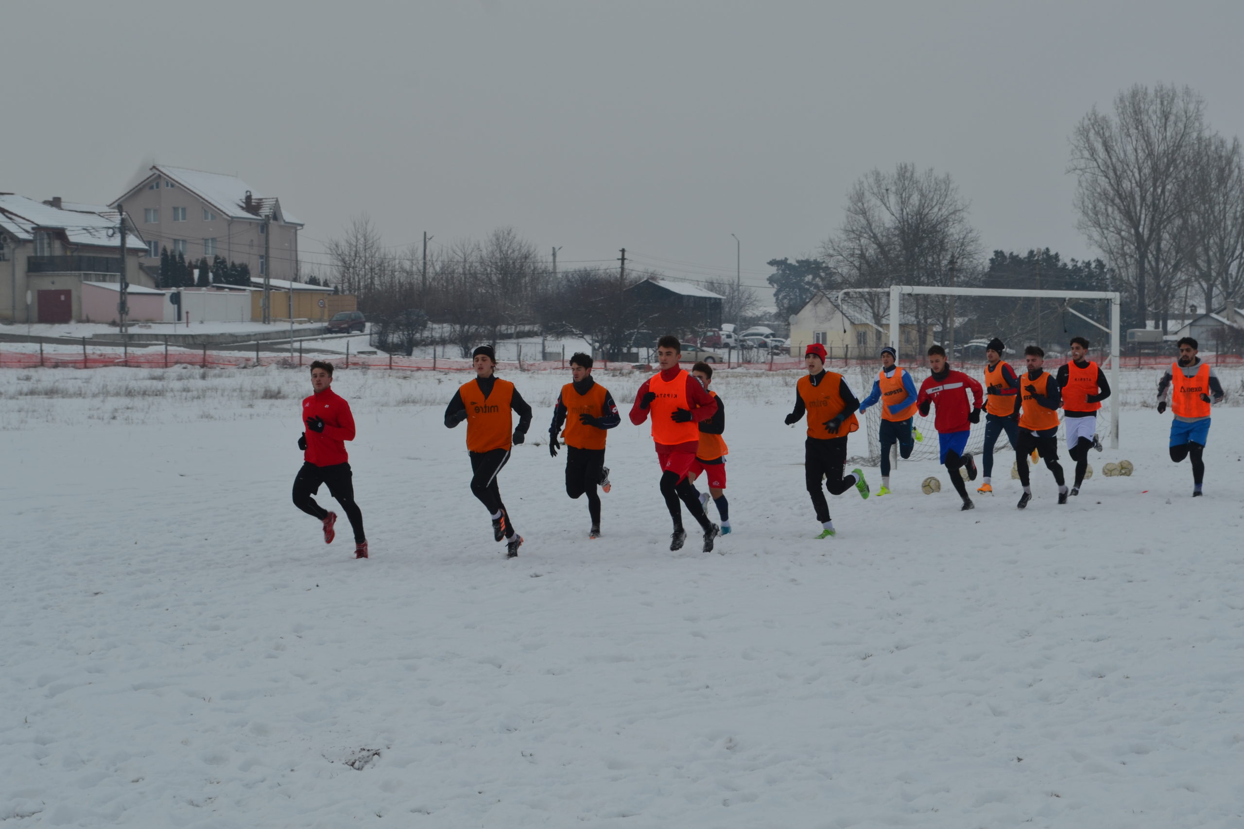 reunire luceafarul (9)