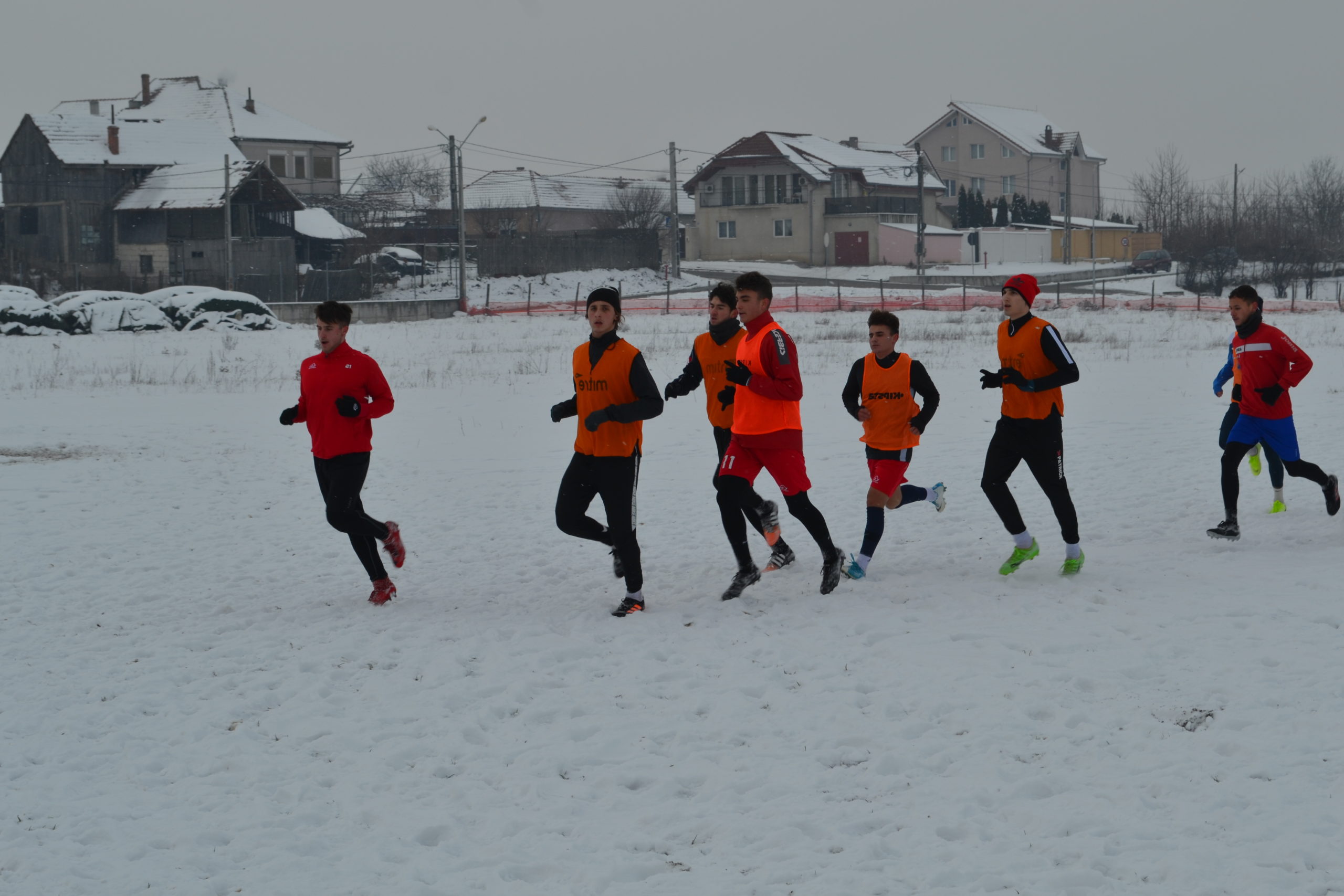 reunire luceafarul (10)