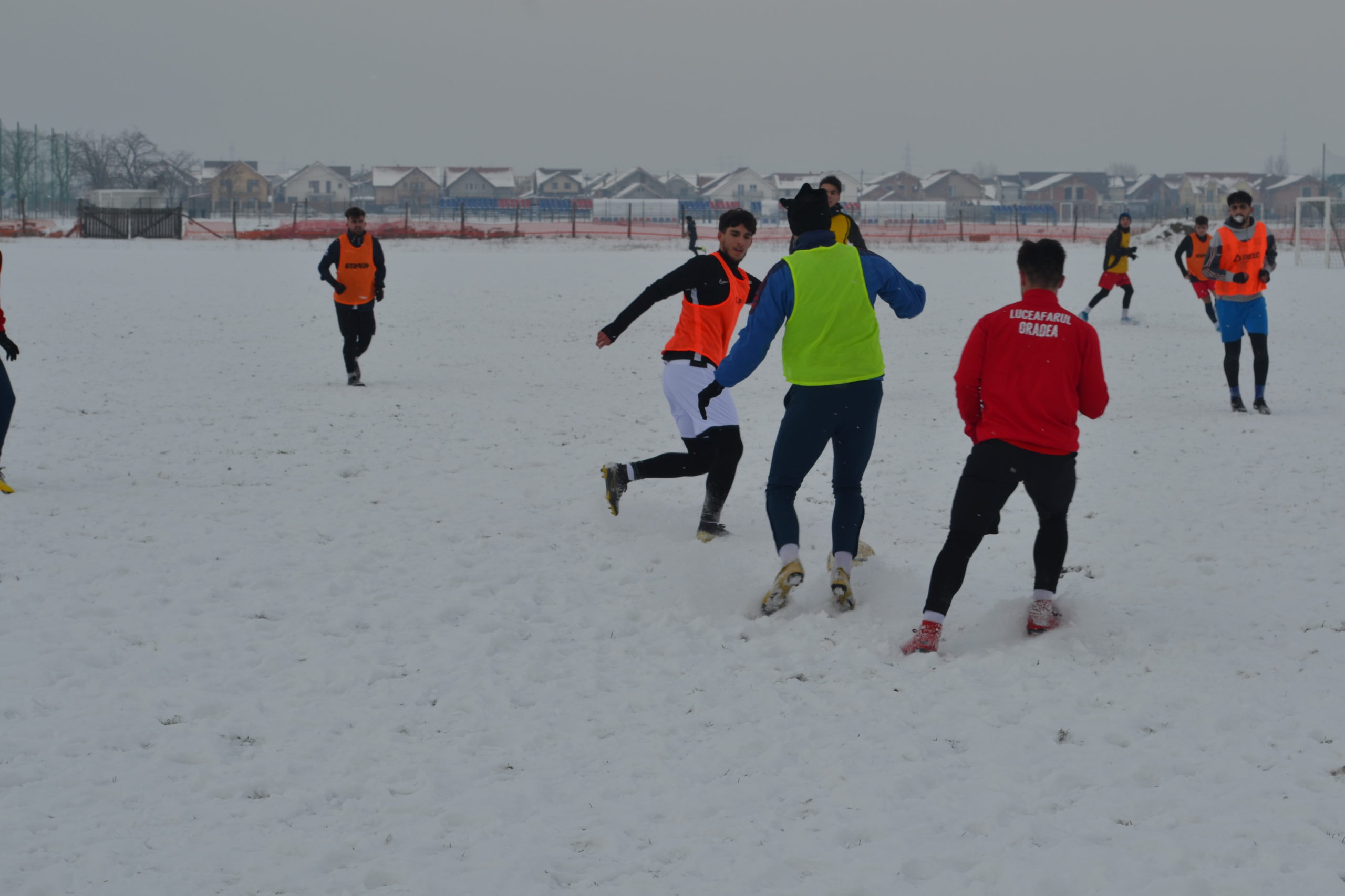 reunire luceafarul (13)