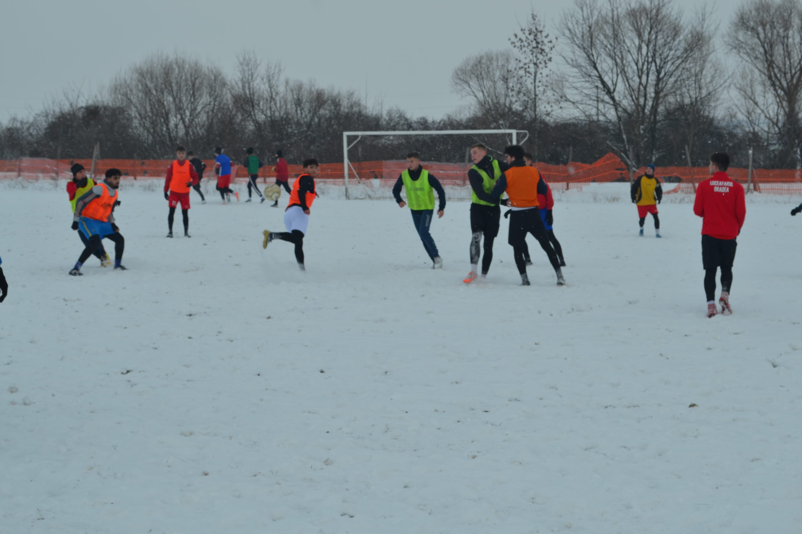 reunire luceafarul (18)