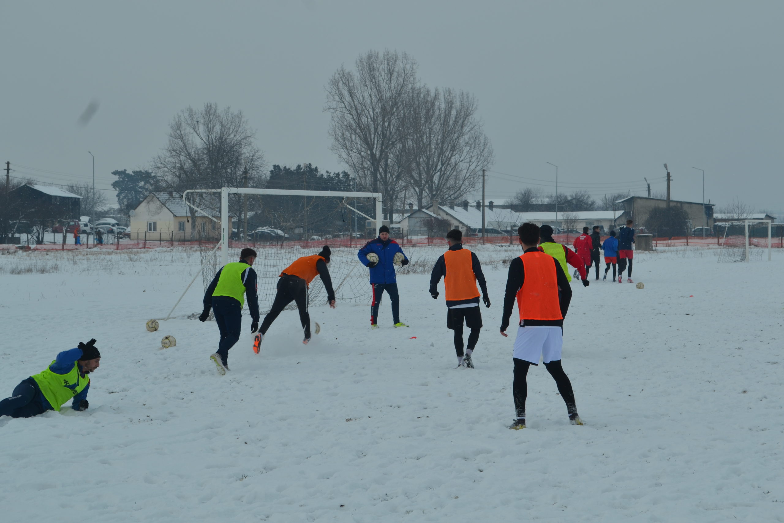 reunire luceafarul (19)