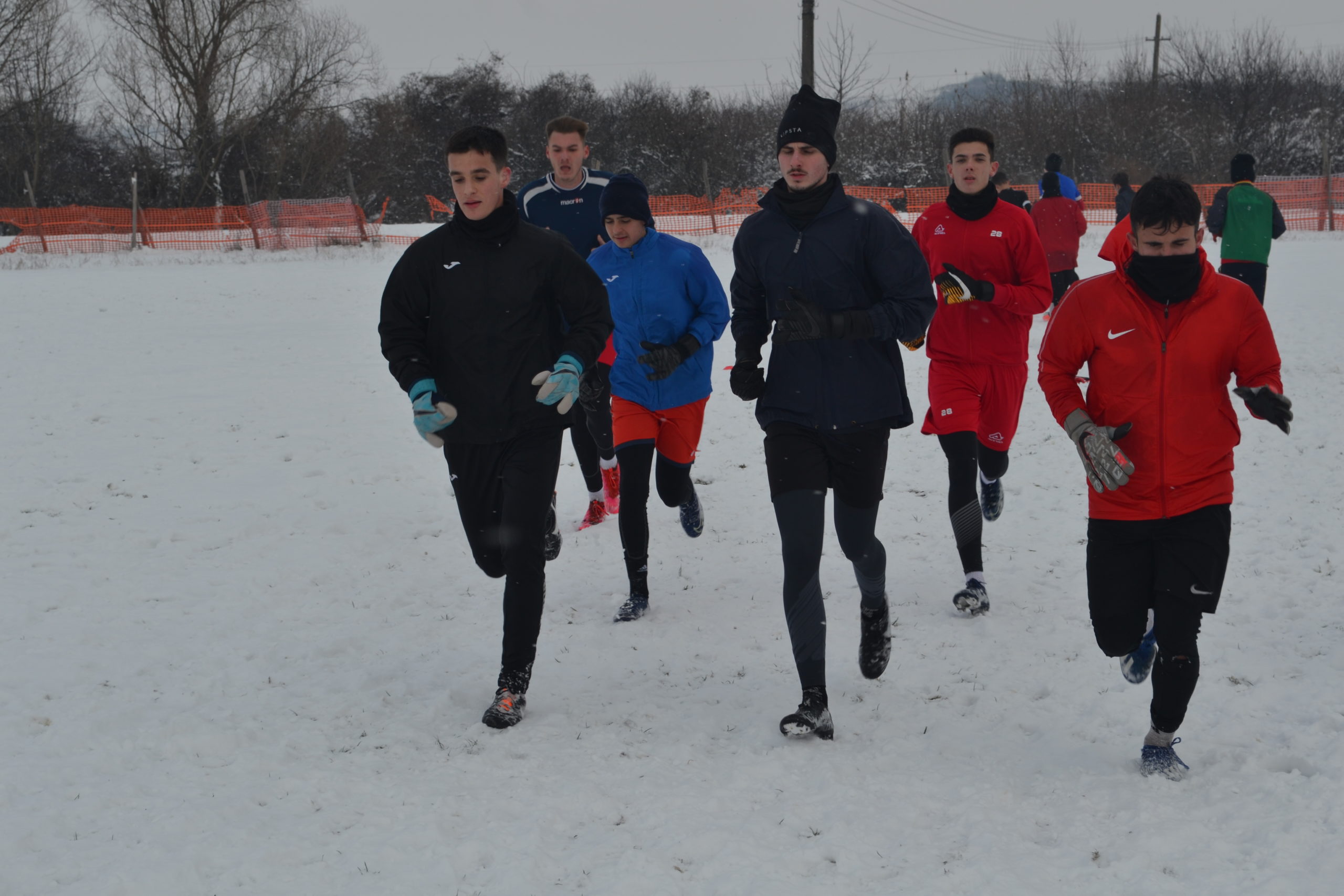 reunire luceafarul (20)