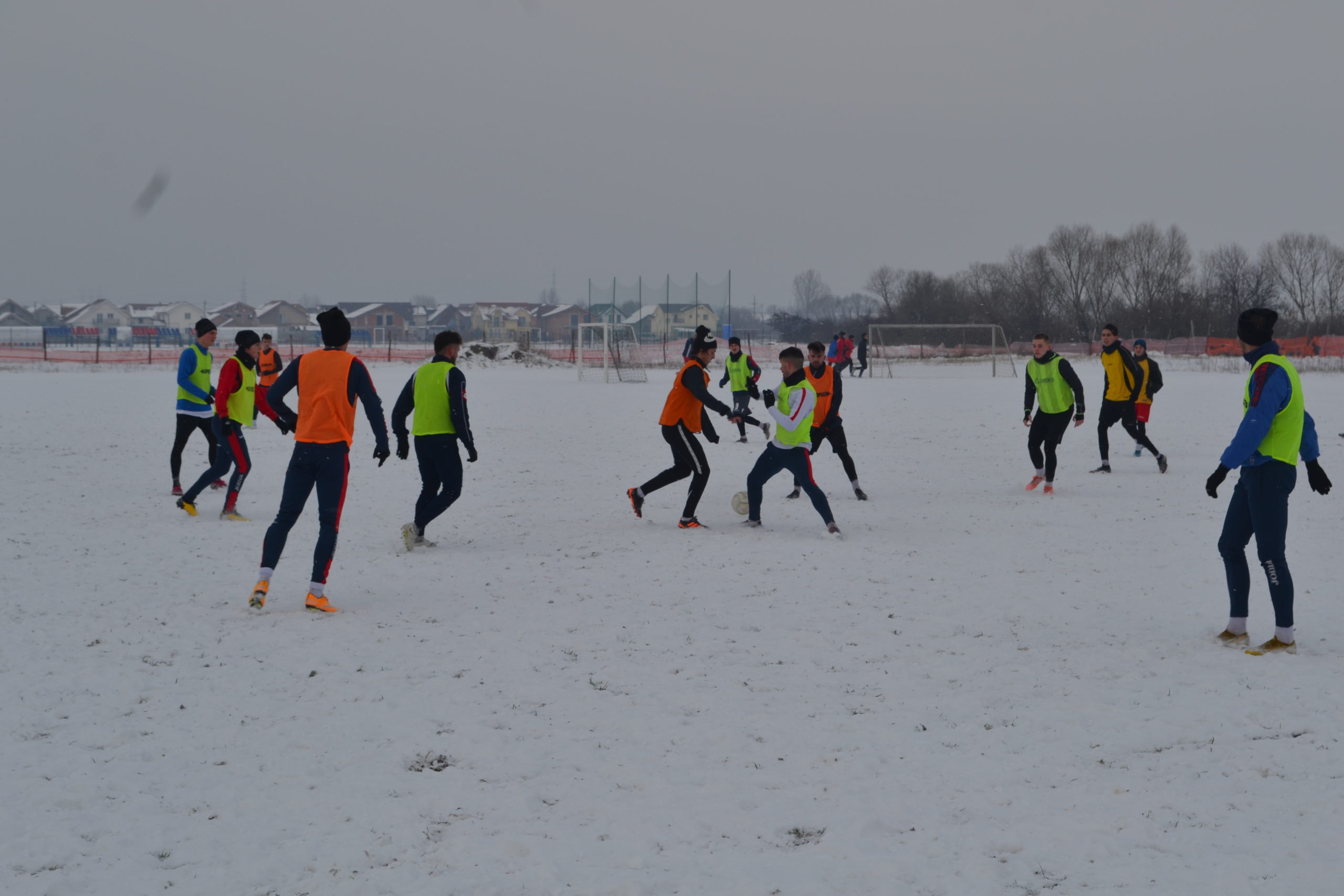 reunire luceafarul (24)