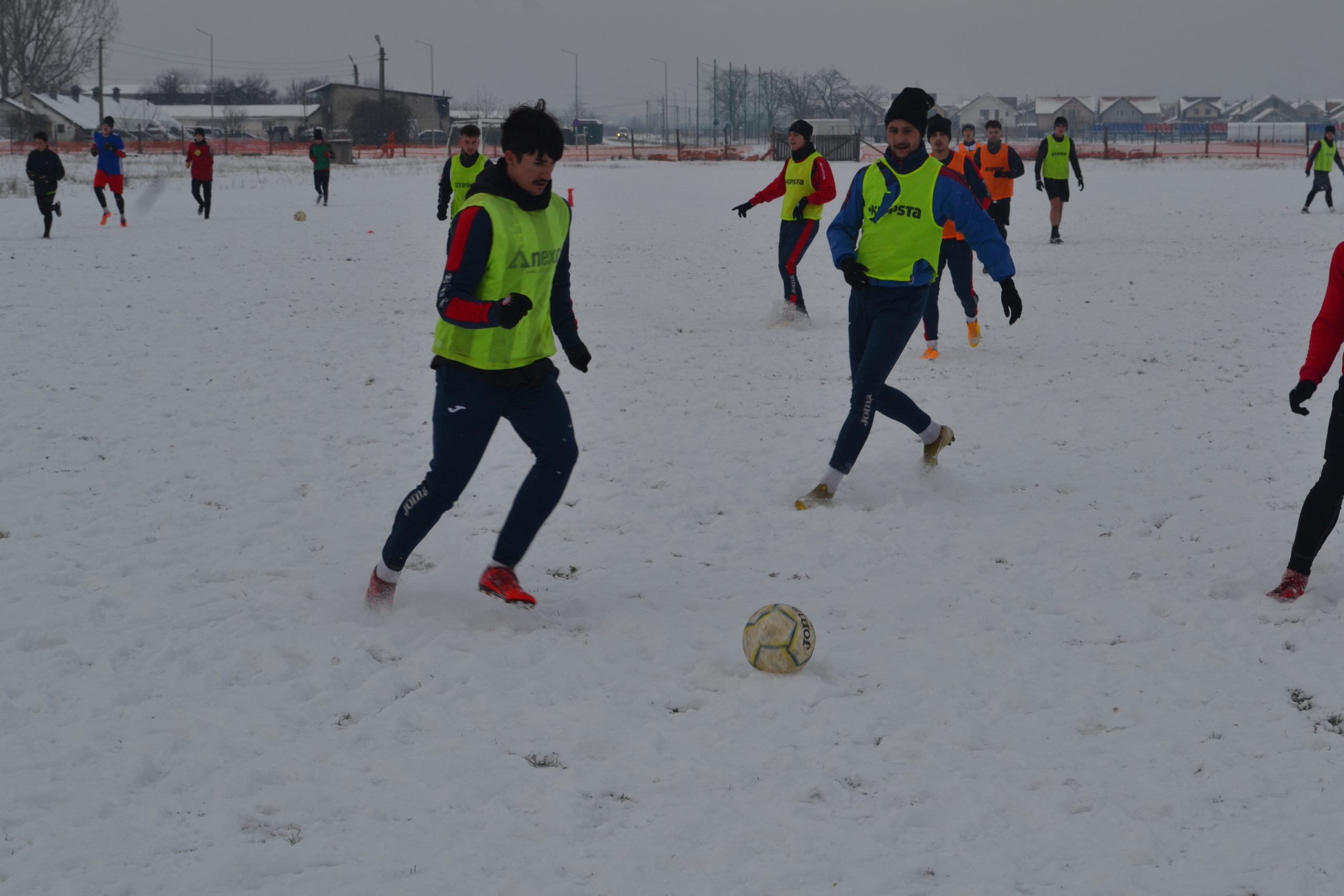 reunire luceafarul (25)