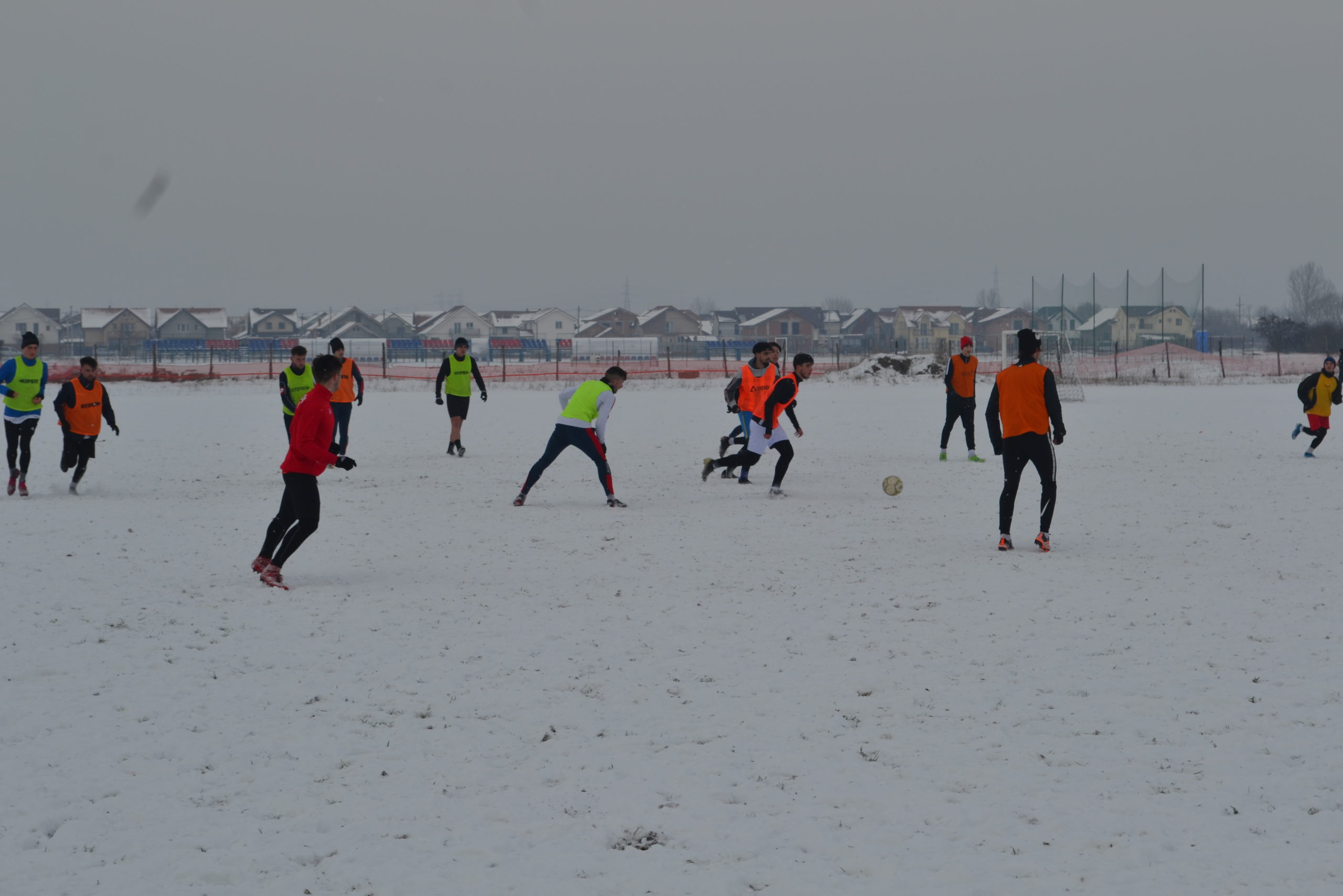 reunire luceafarul (26)