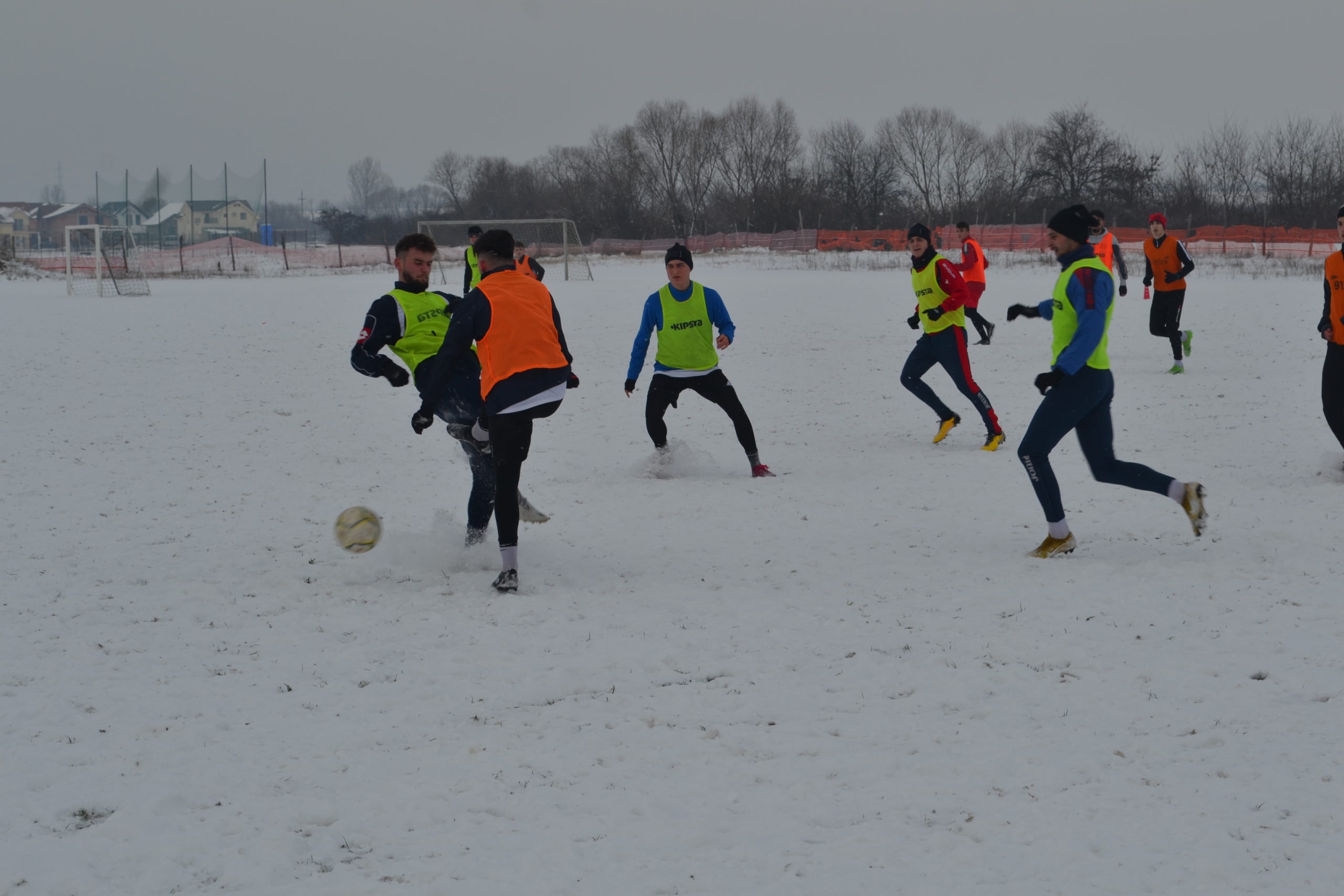 reunire luceafarul (27)