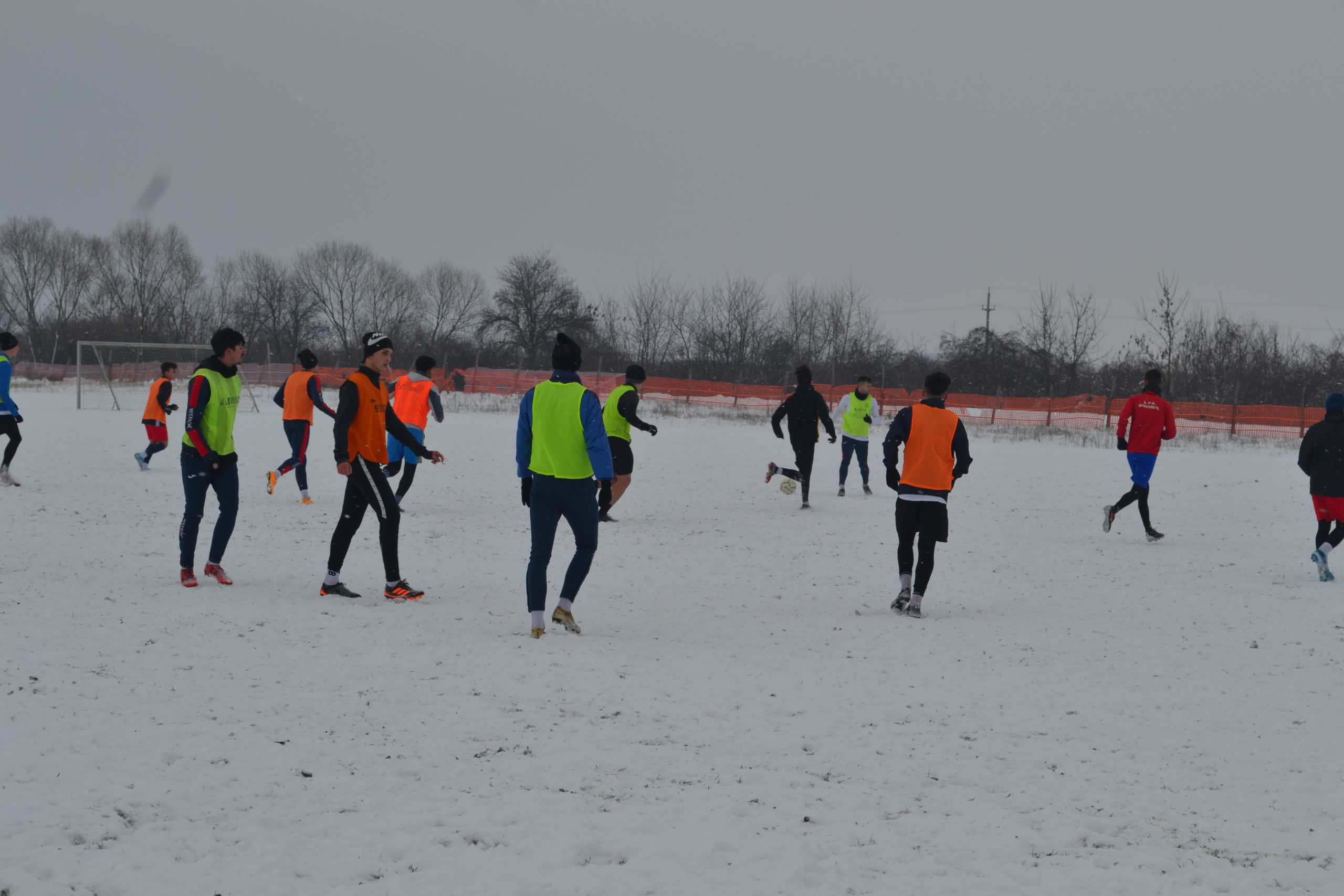 reunire luceafarul (35)