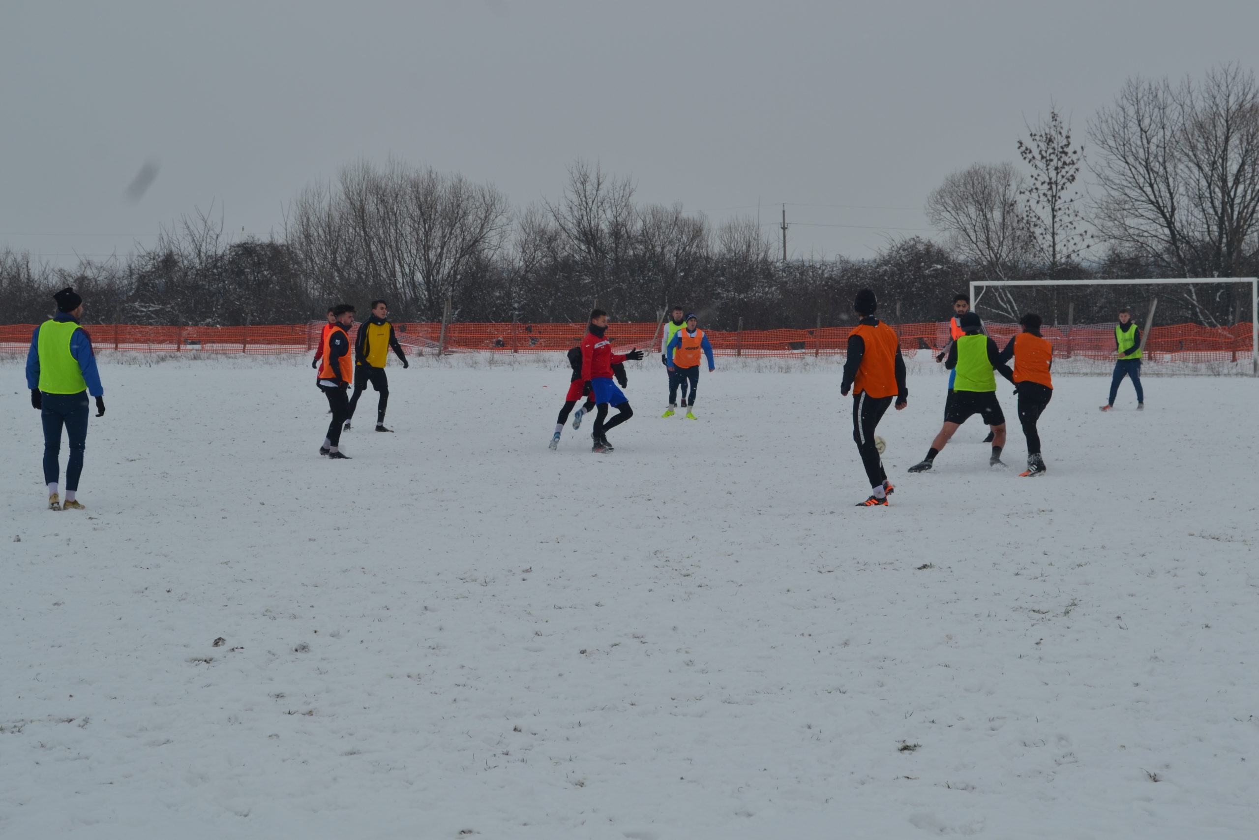 reunire luceafarul (36)