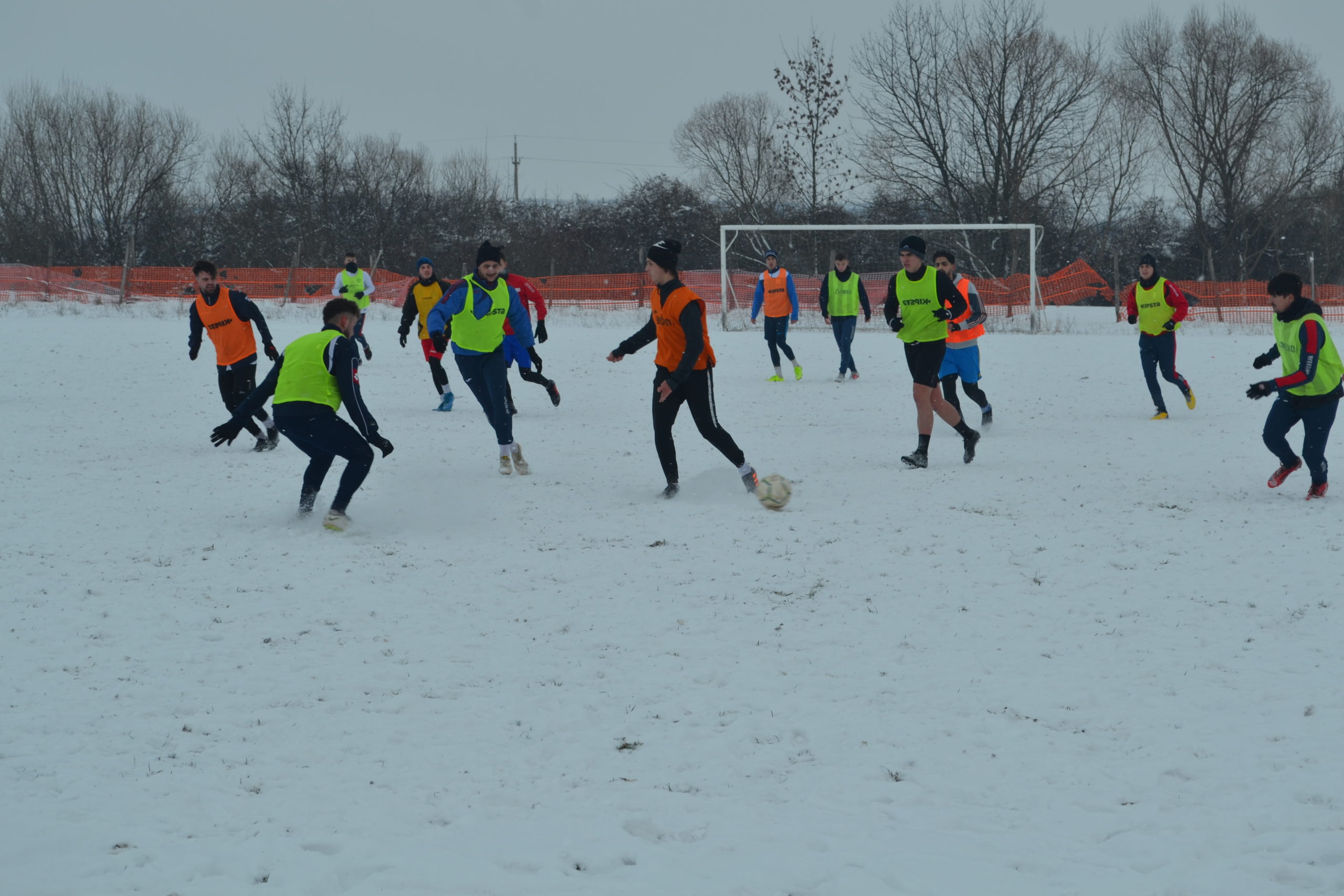 reunire luceafarul (38)