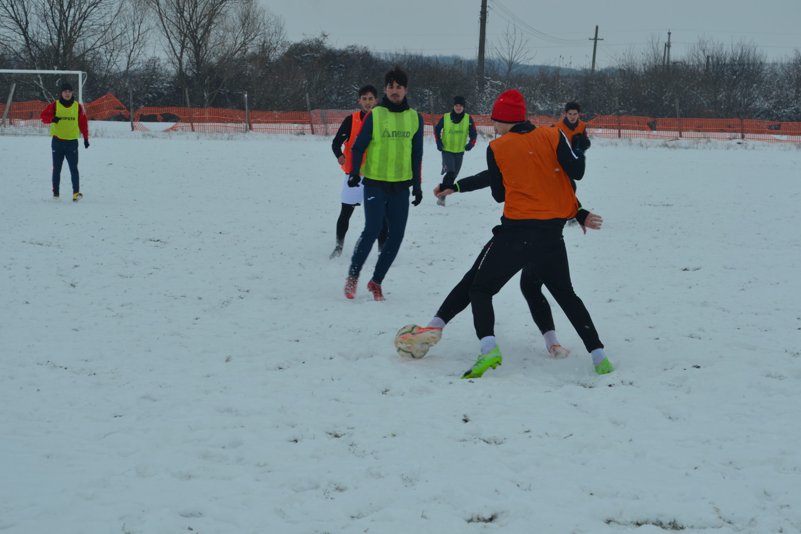 reunire luceafarul (39)