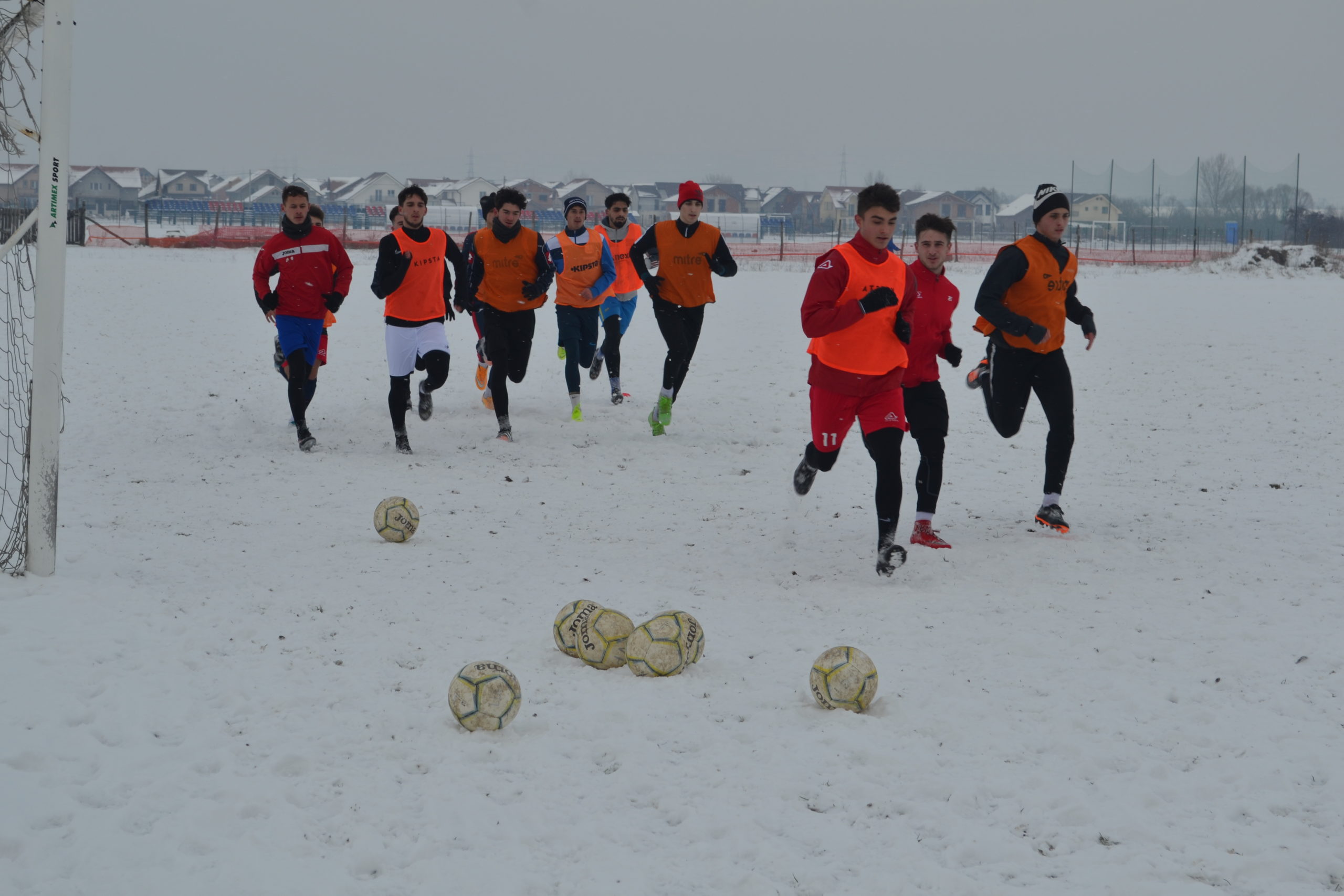 reunire luceafarul (40)