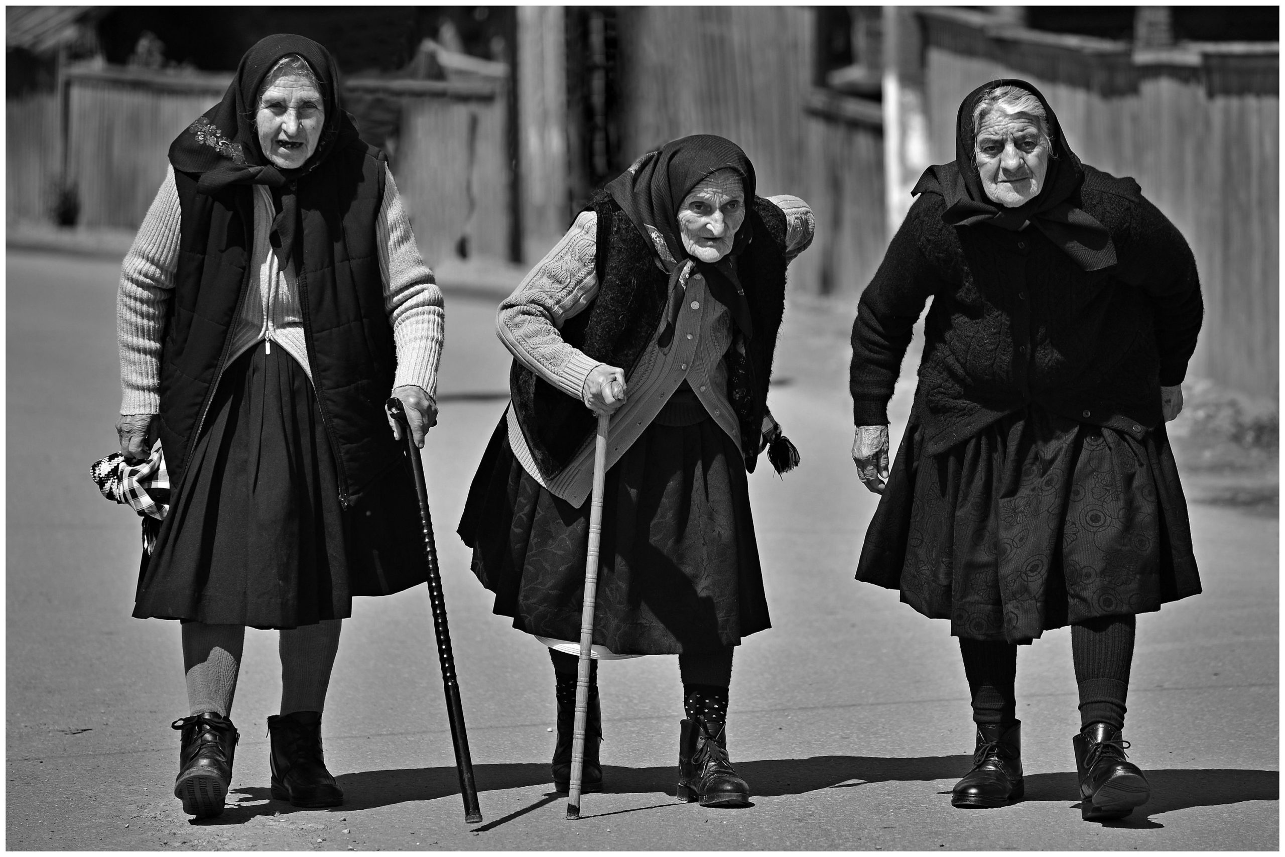 Foto KAJTÁR Tibor (HU)