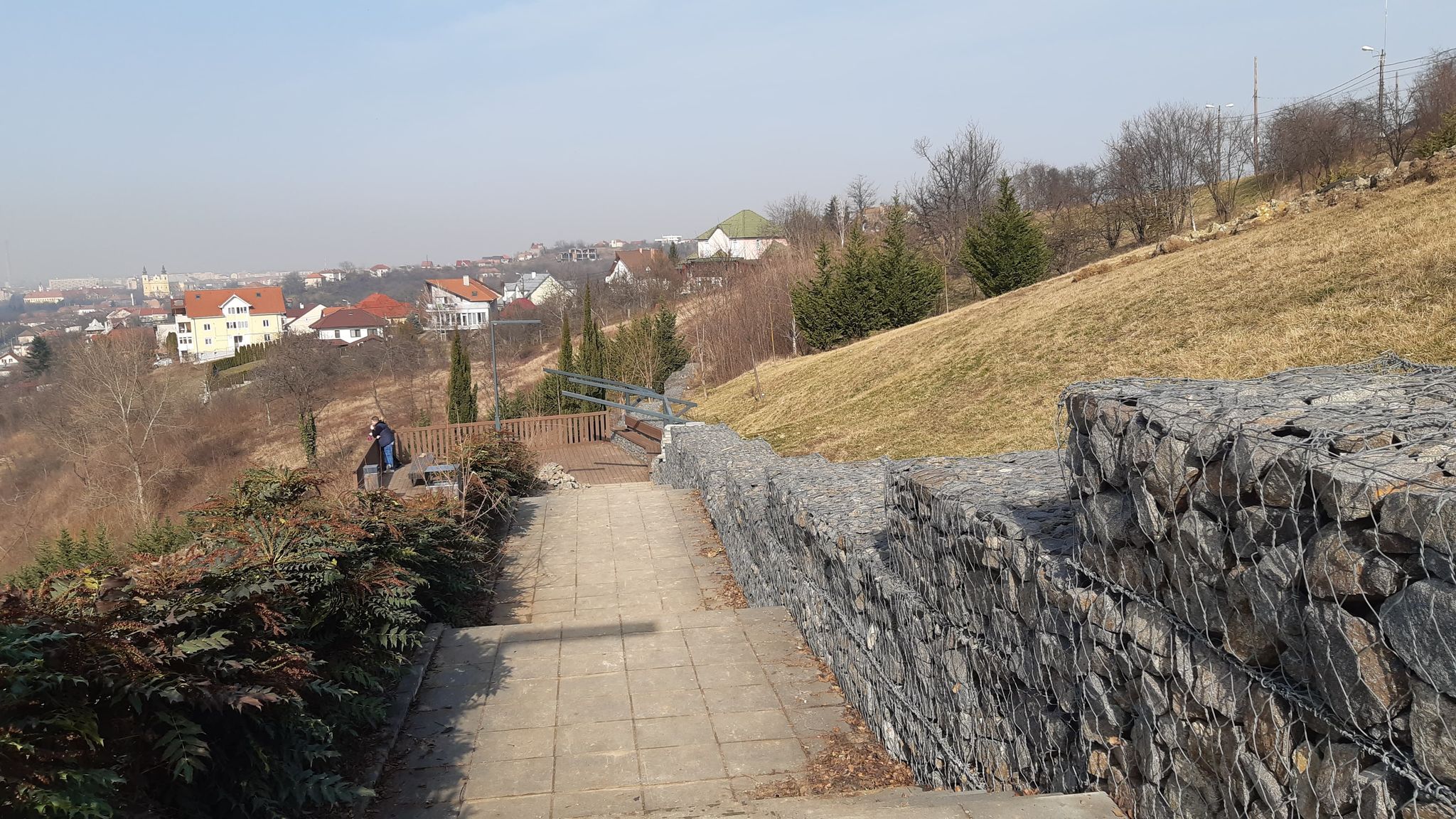 lucrari deal ciuperca oradea (3)