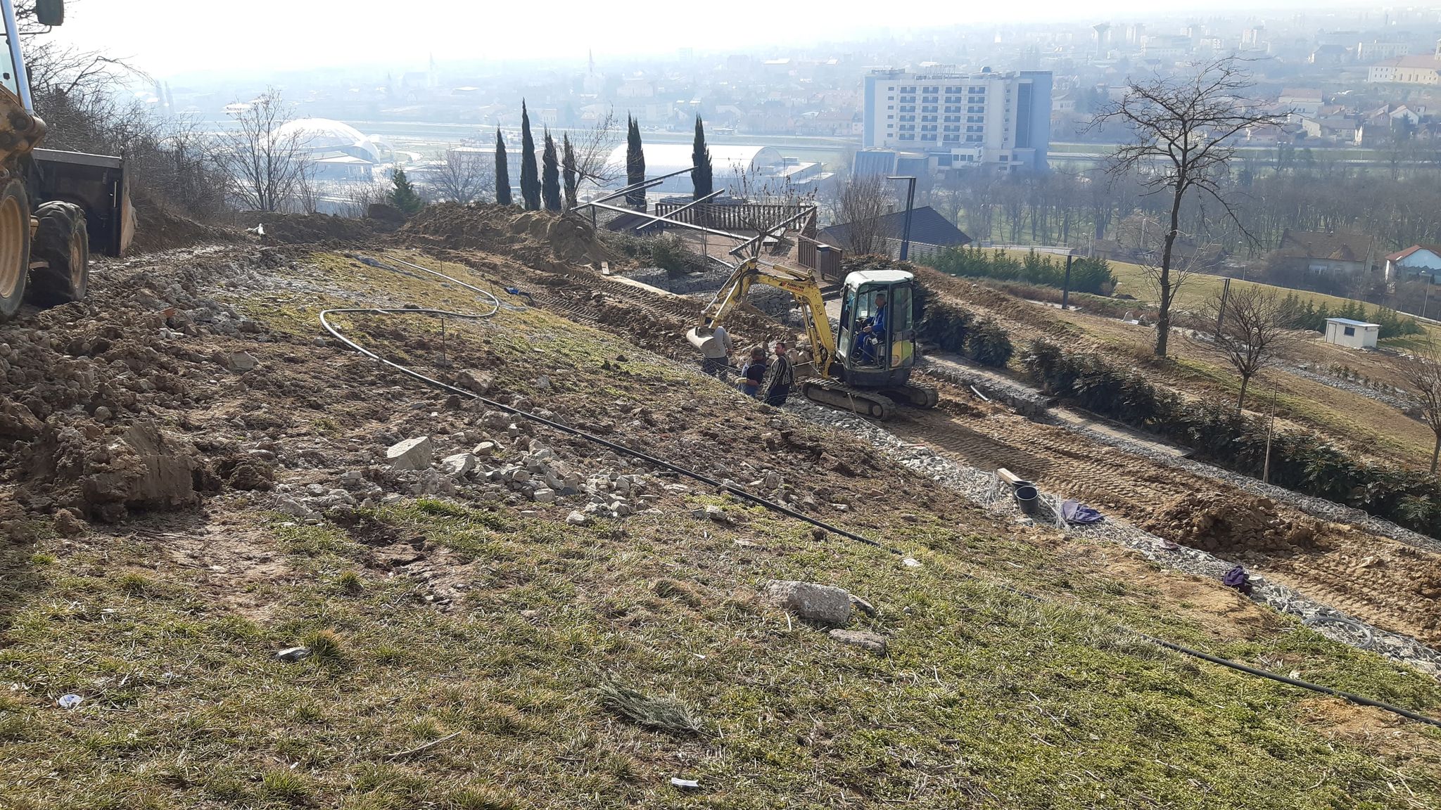 lucrari deal ciuperca oradea (5)