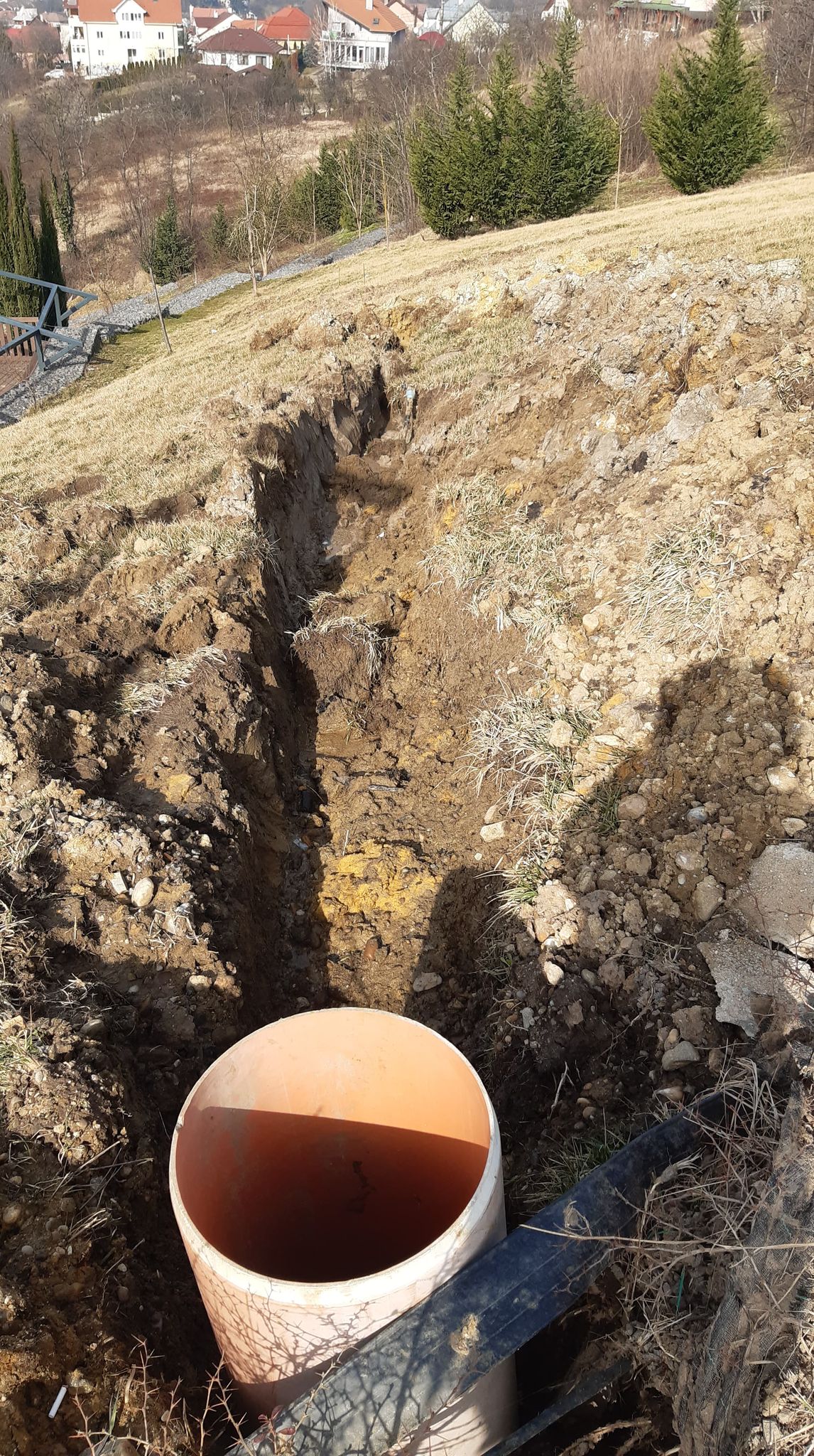 lucrari deal ciuperca oradea (10)