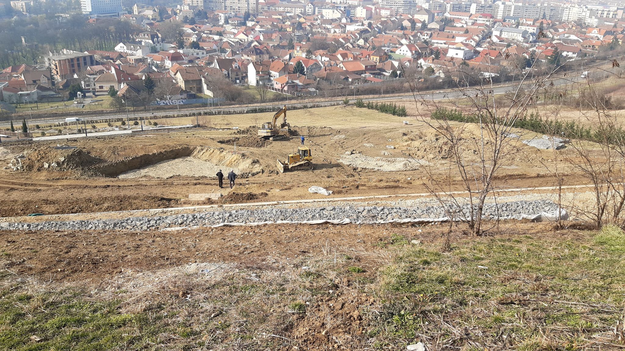 lucrari deal ciuperca oradea (11)