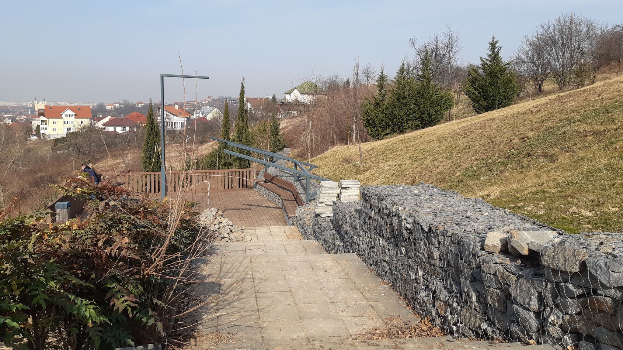 lucrari deal ciuperca oradea (15)