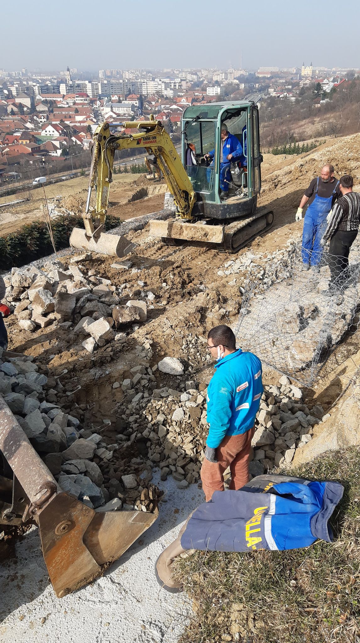 lucrari deal ciuperca oradea (18)